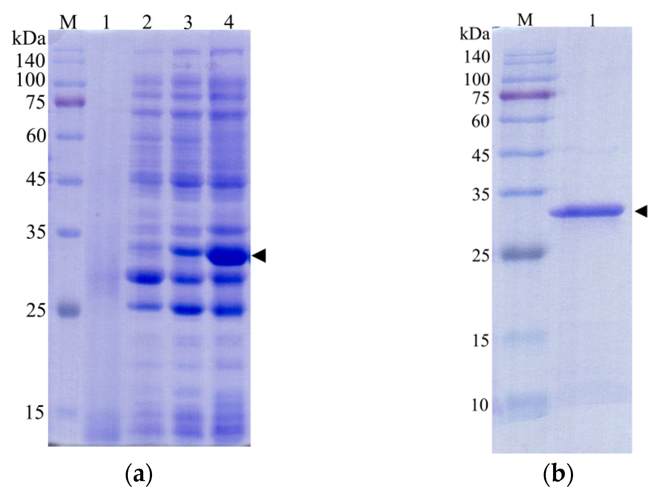 Biology 10 00330 g007a Biology 10 00330 g007a