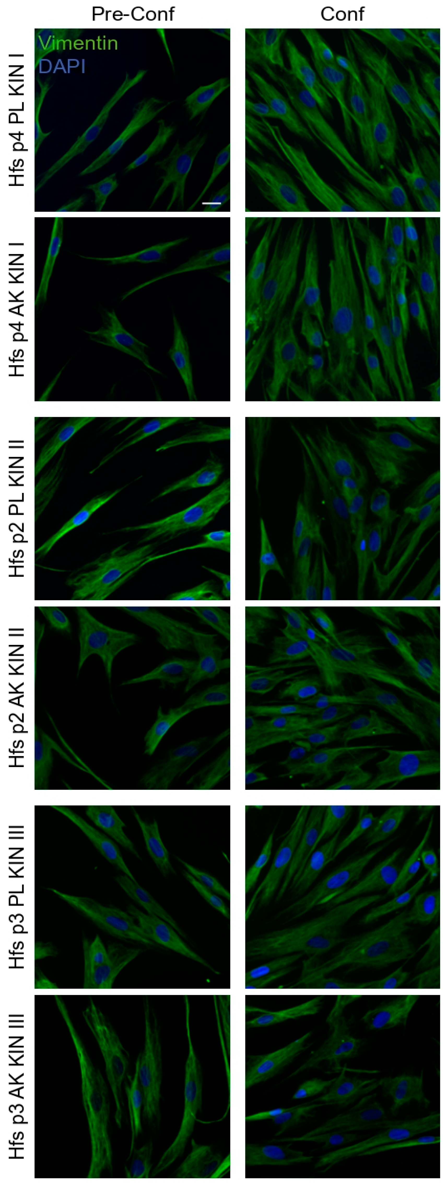 Biology 10 00331 g004 Biology 10 00331 g004