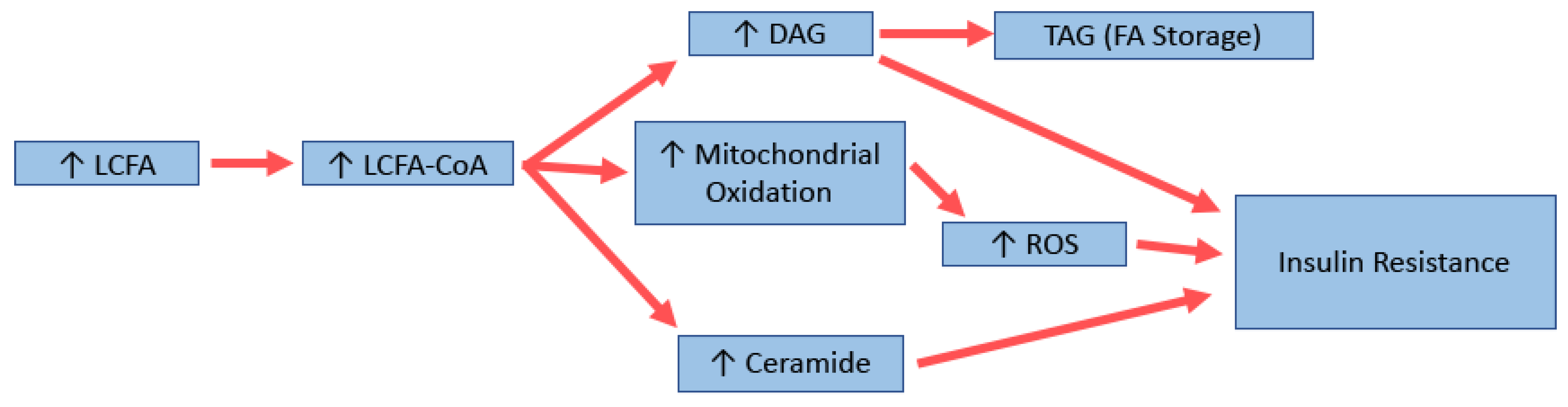 Biology 10 00336 g002