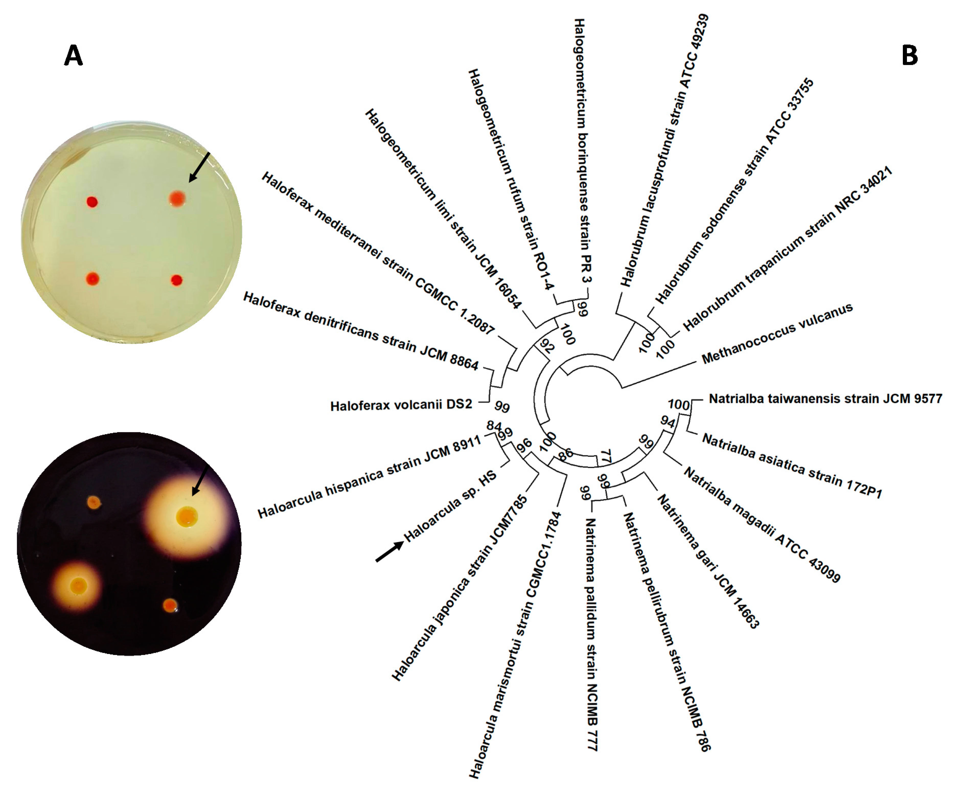 Biology 10 00337 g001 Biology 10 00337 g001