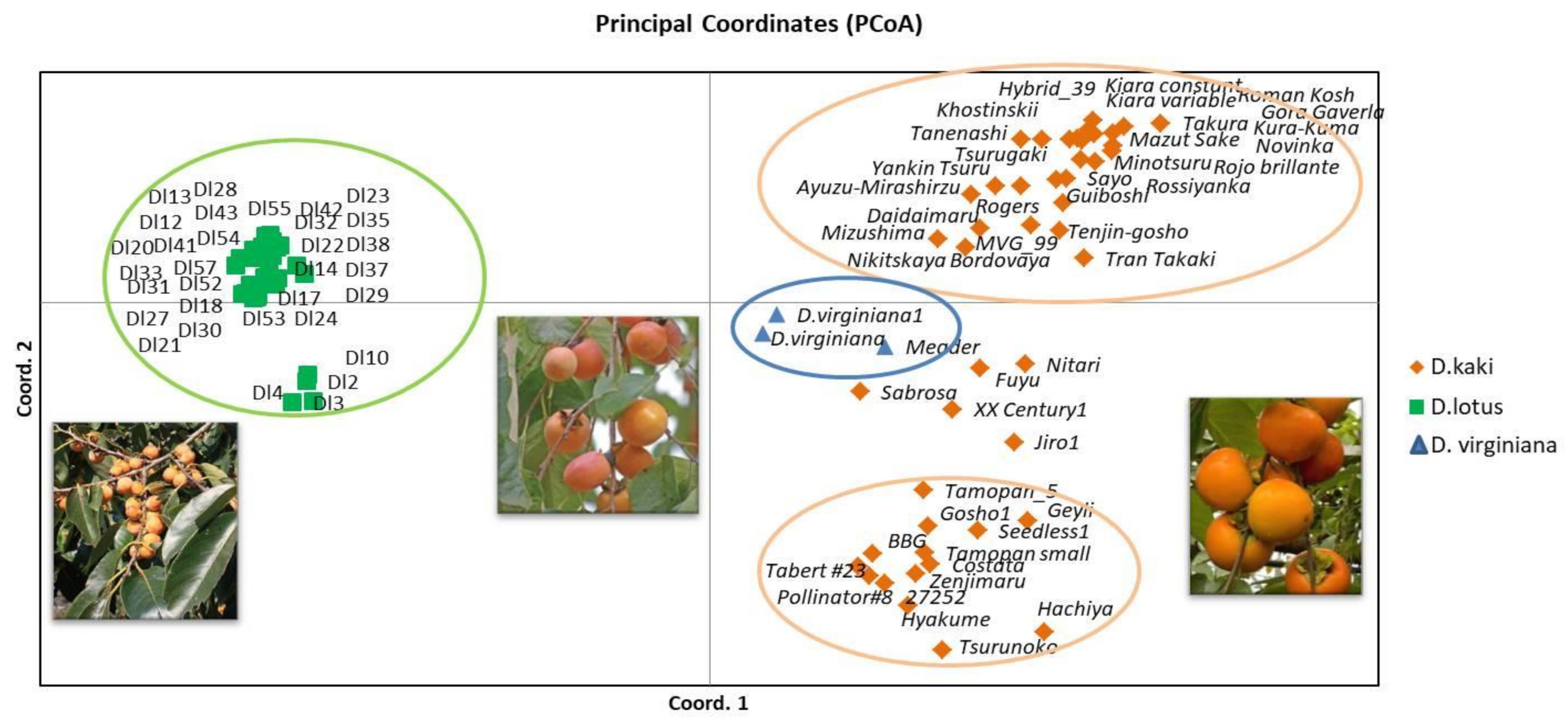 Biology 10 00341 g003 Biology 10 00341 g003