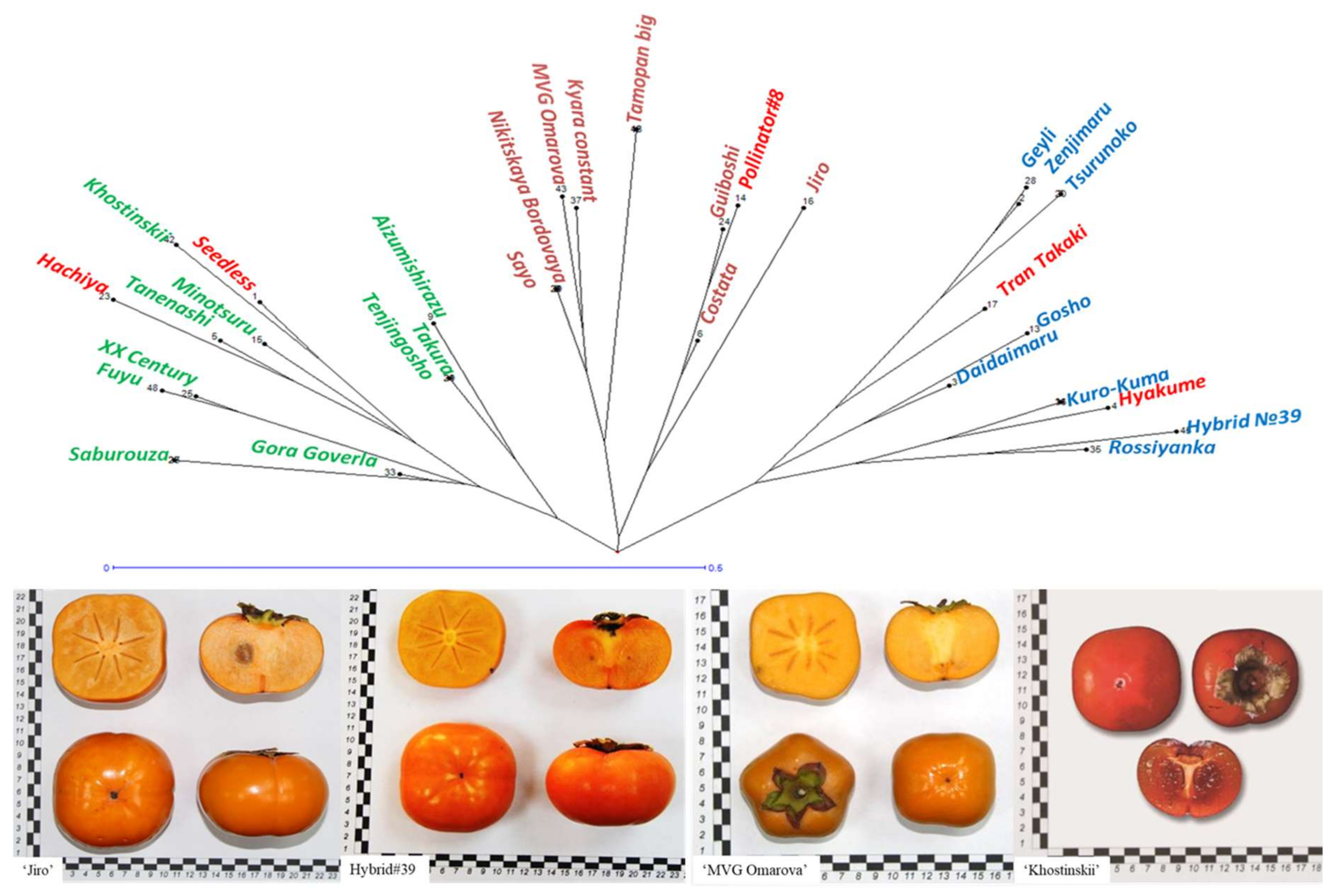 Biology 10 00341 g004 Biology 10 00341 g004