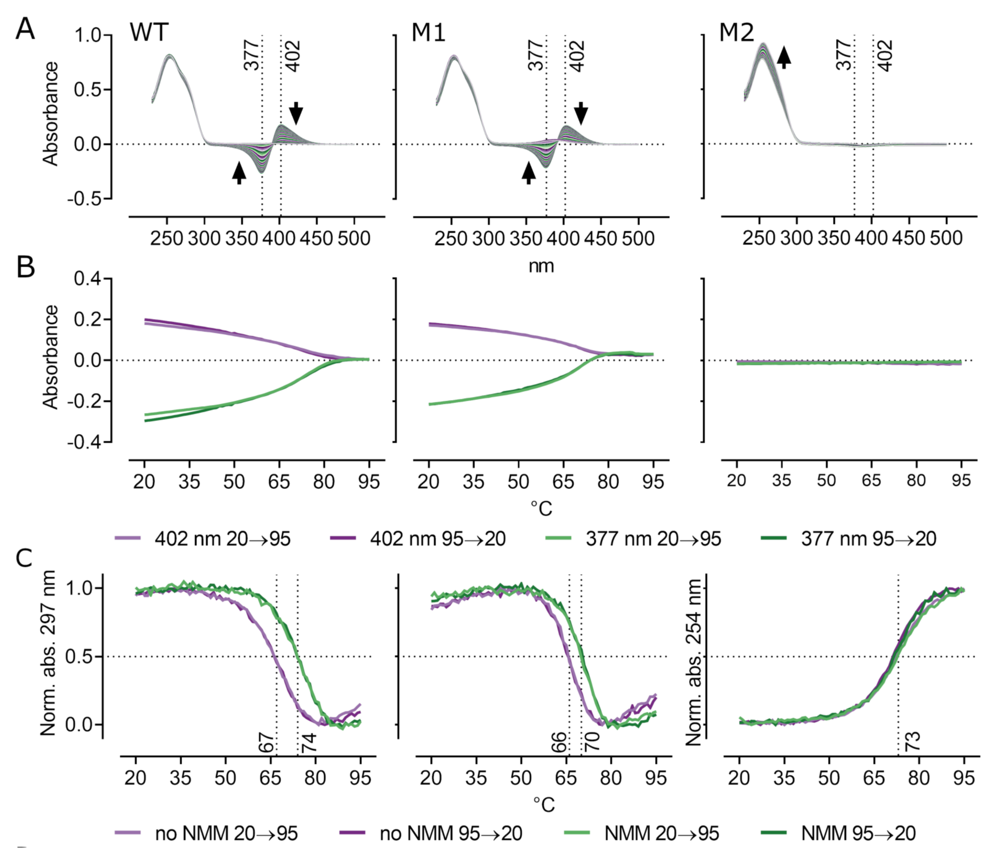 Biology 10 00347 g003