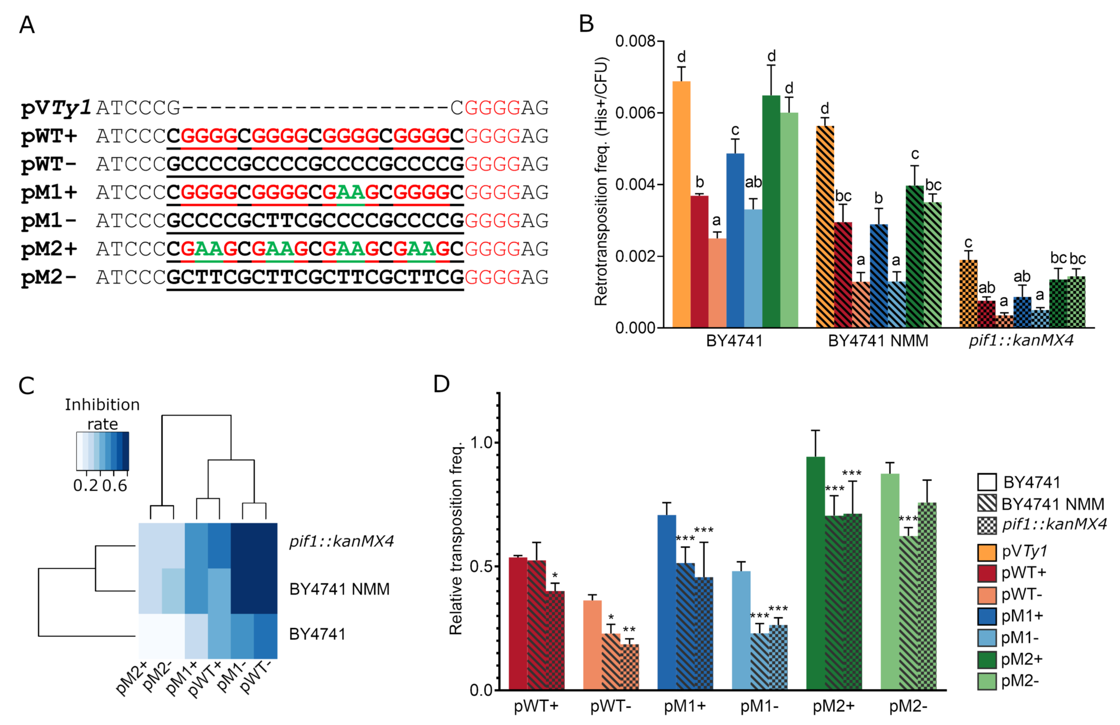 Biology 10 00347 g004