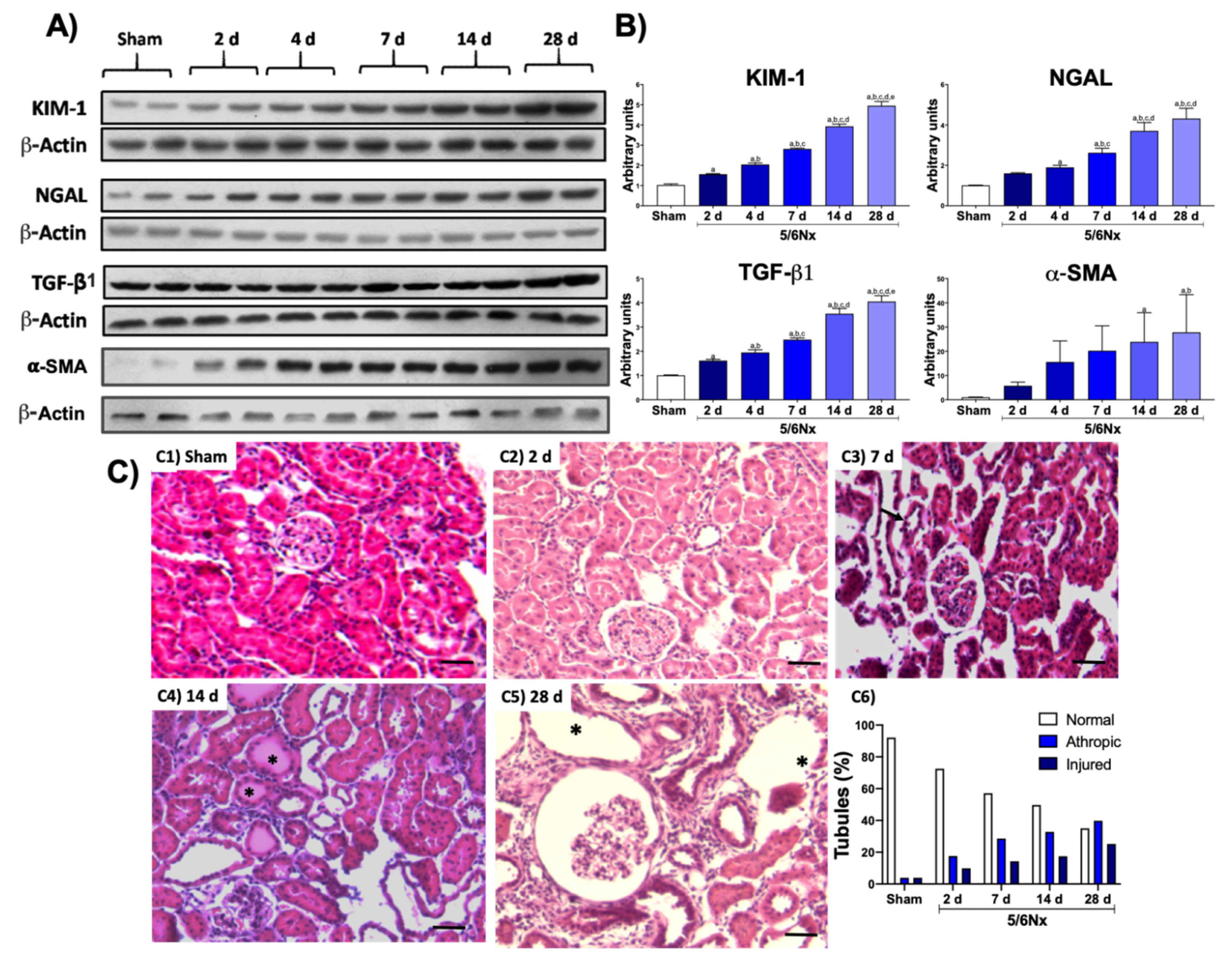 Biology 10 00349 g001 Biology 10 00349 g001