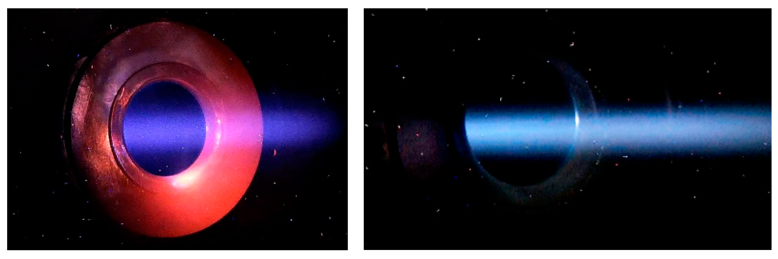 Biology 10 00350 g002