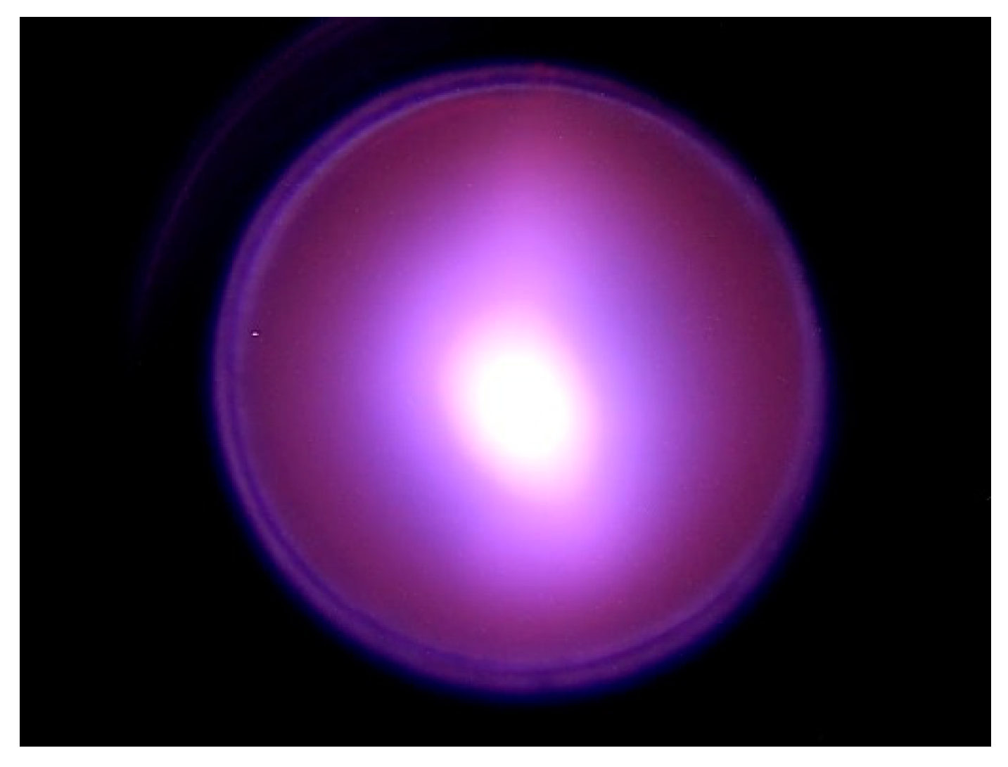 Biology 10 00350 g003