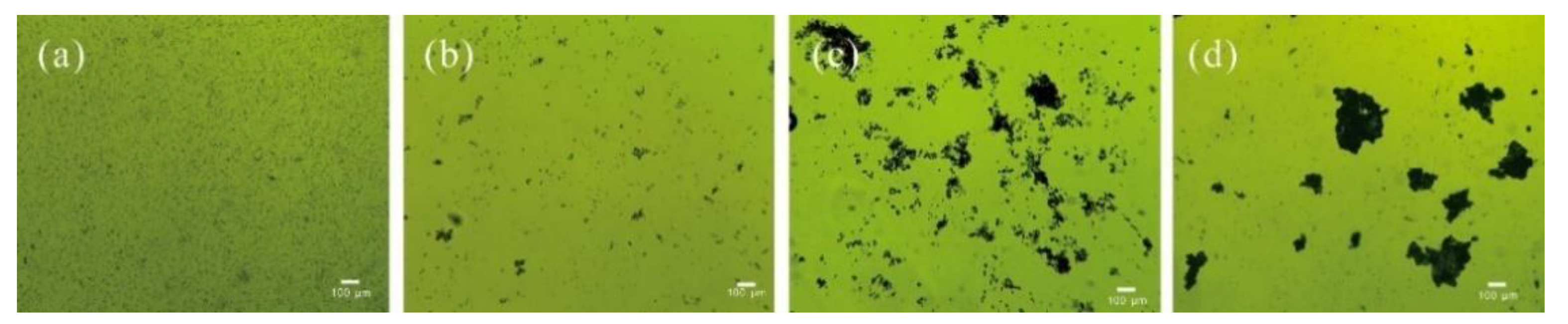 Biology 10 00352 g005 Biology 10 00352 g005