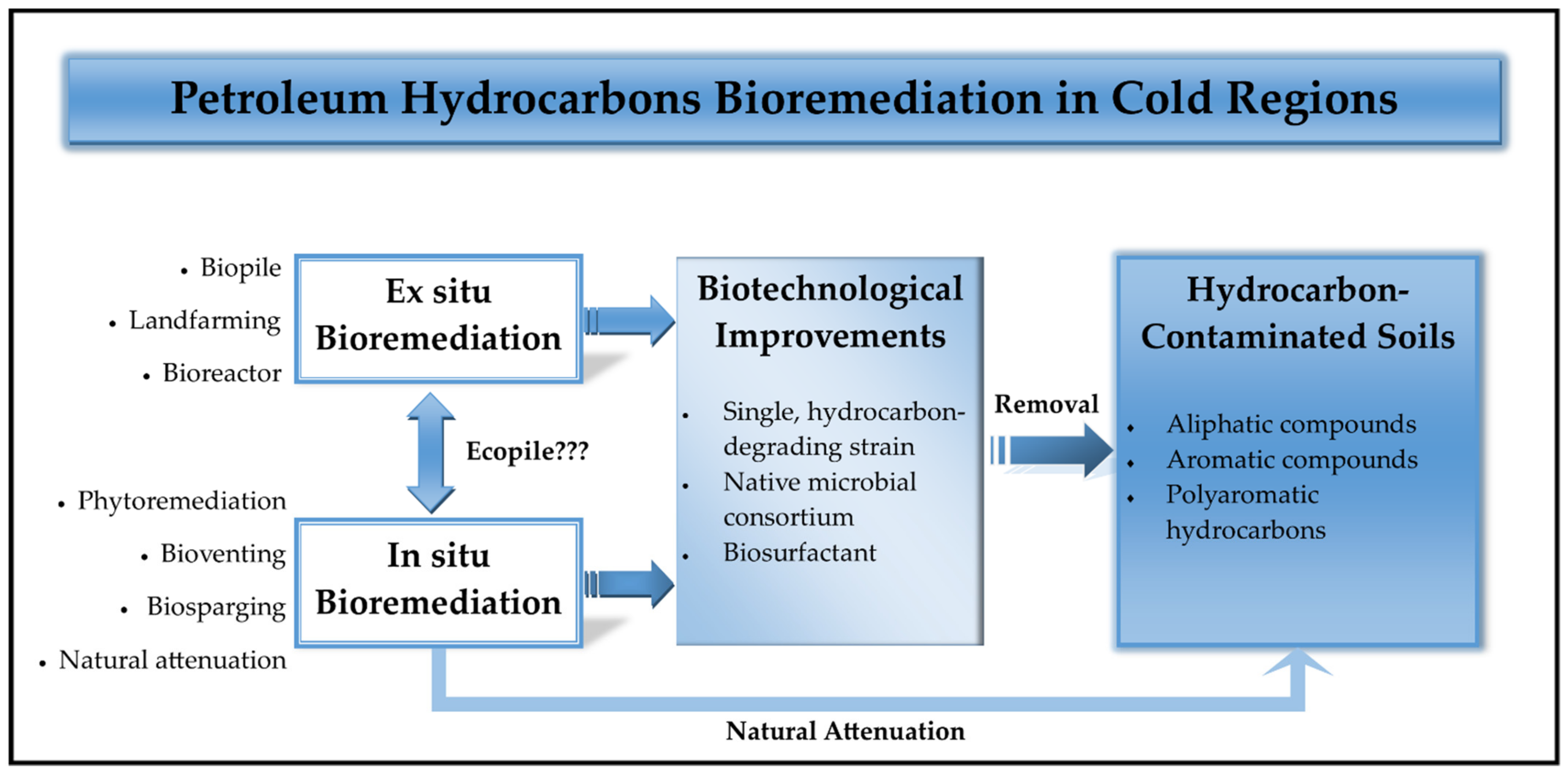 Biology 10 00354 g003 Biology 10 00354 g003