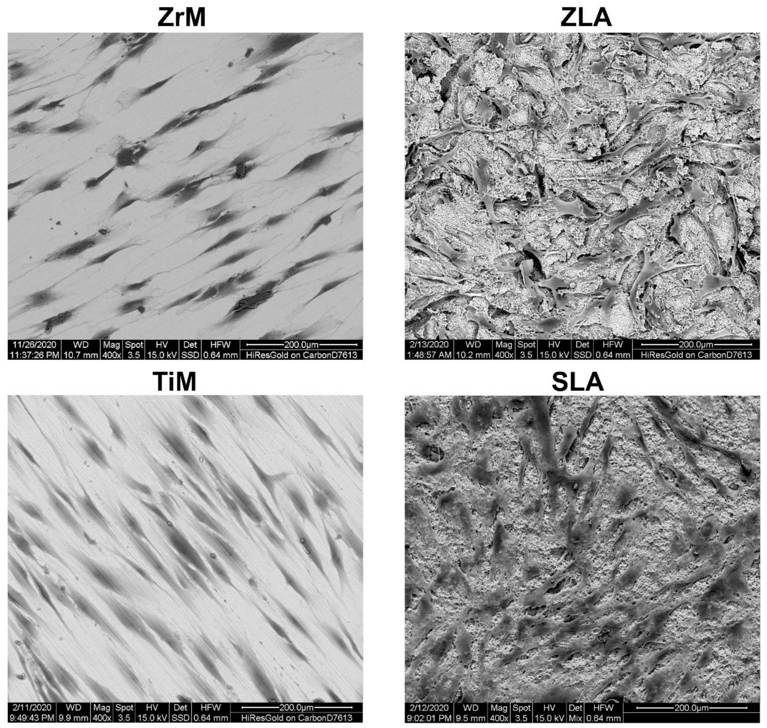 Biology 10 00356 g002 Biology 10 00356 g002