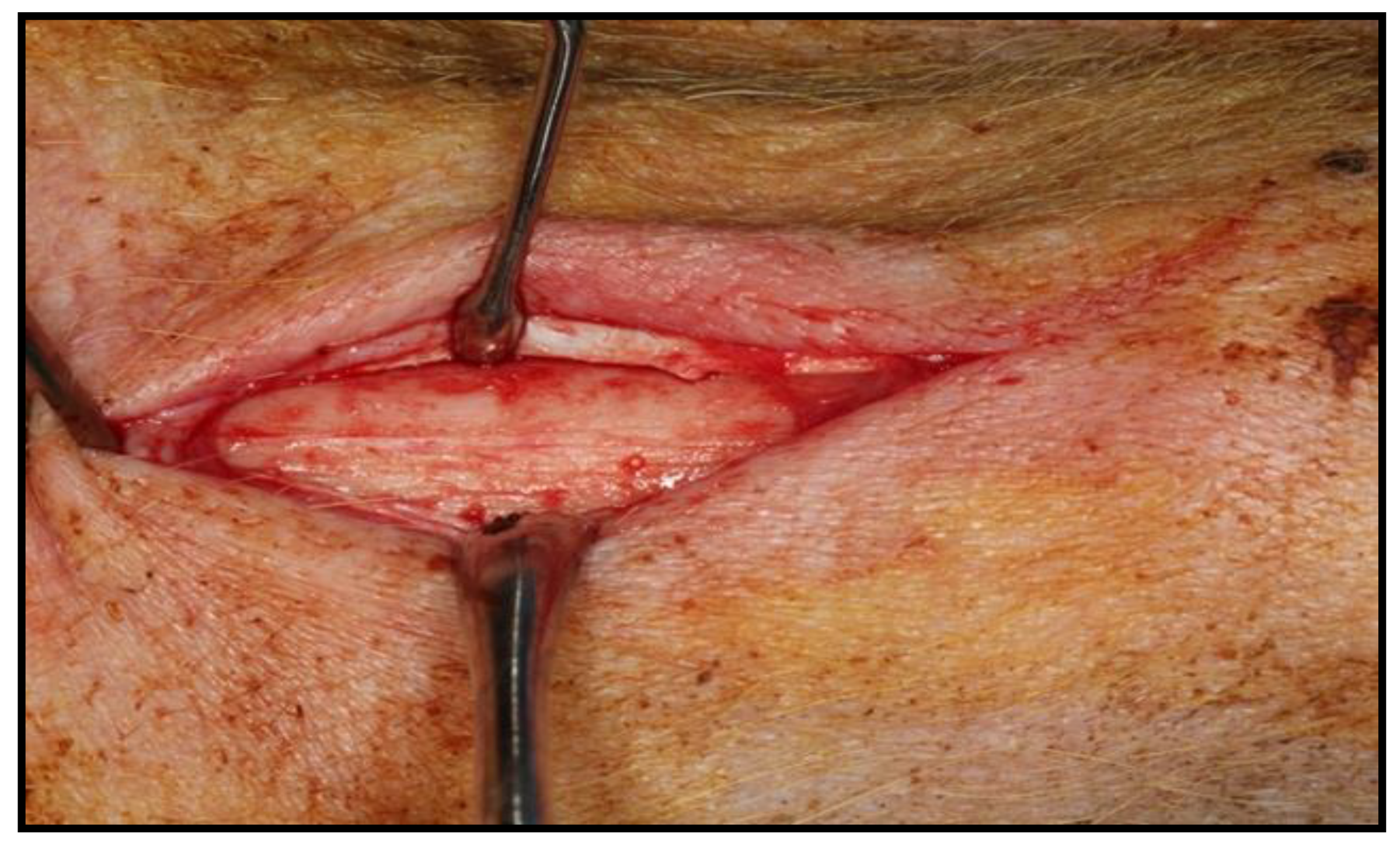 Biology 10 00358 g001