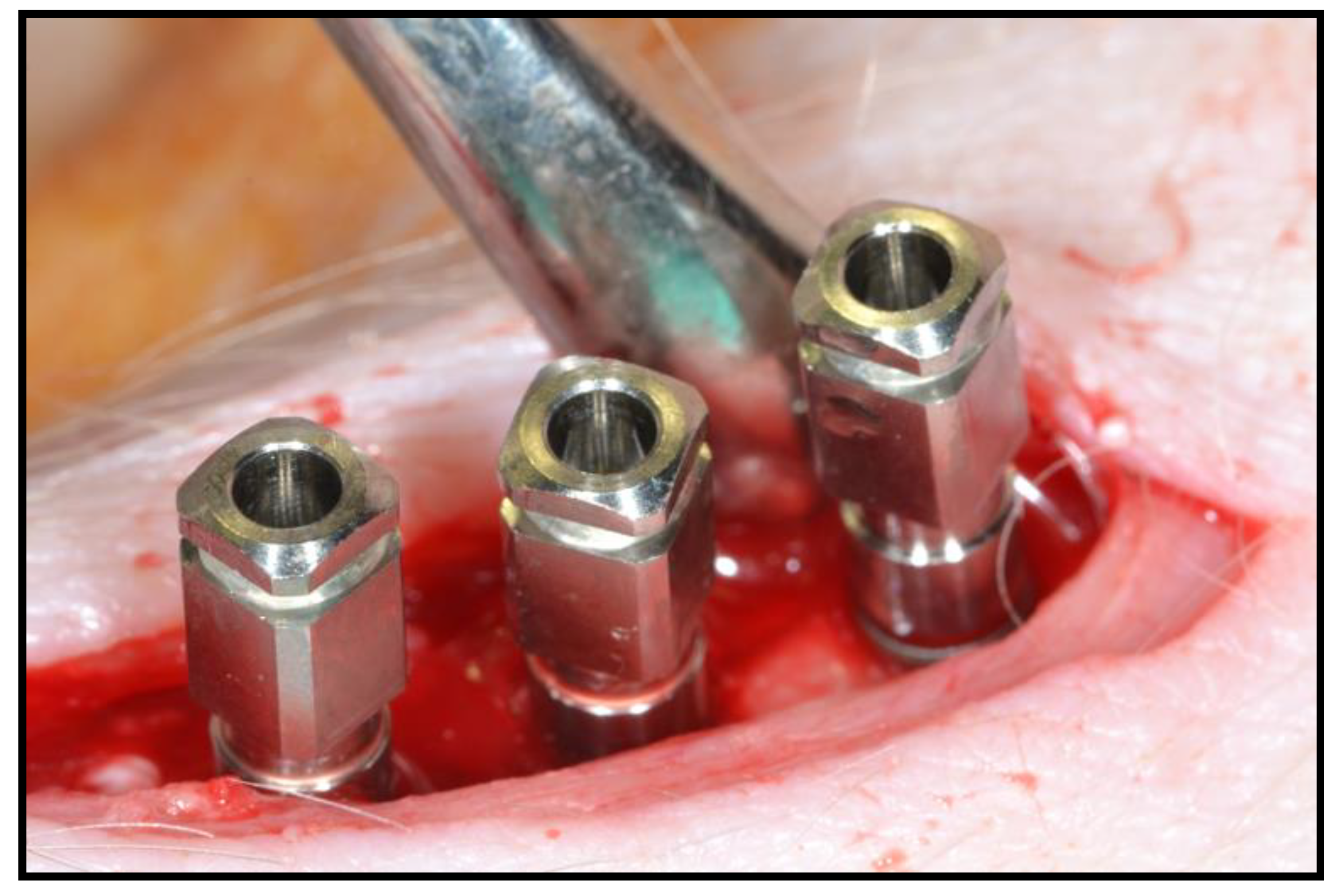 Biology 10 00358 g002