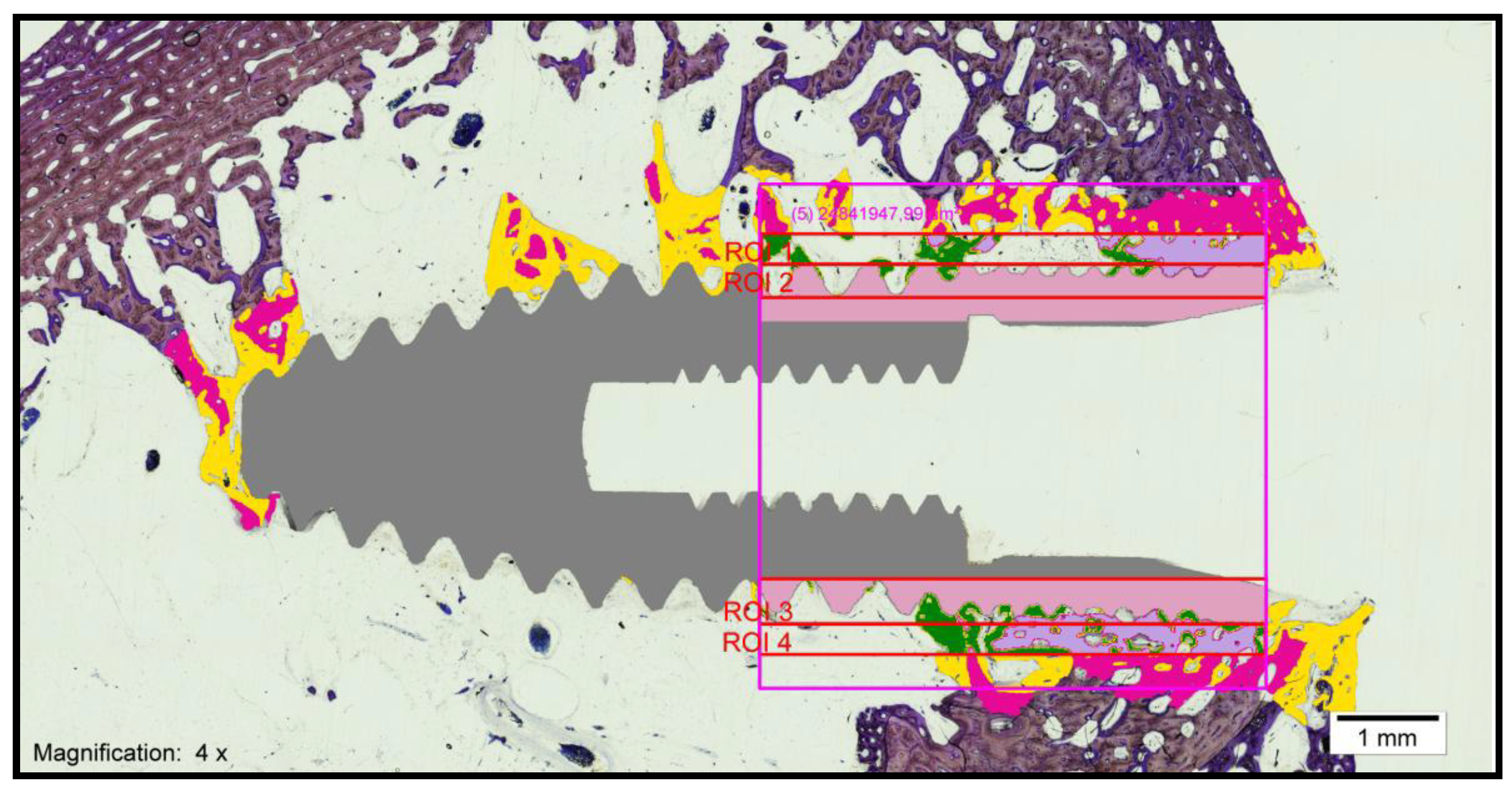 Biology 10 00358 g003