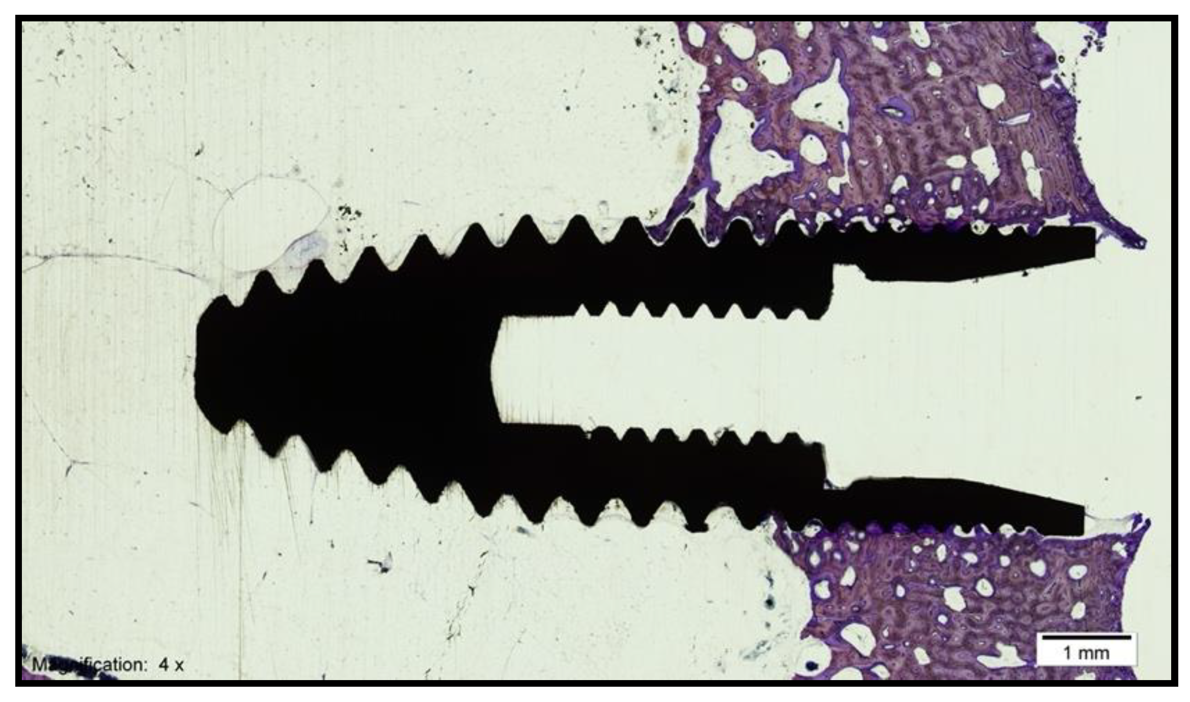 Biology 10 00358 g004