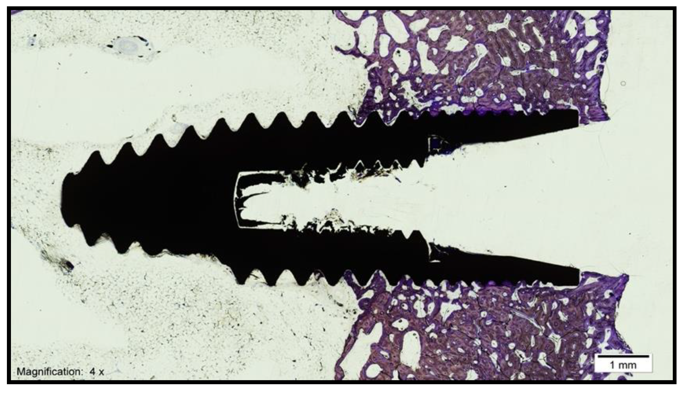 Biology 10 00358 g005