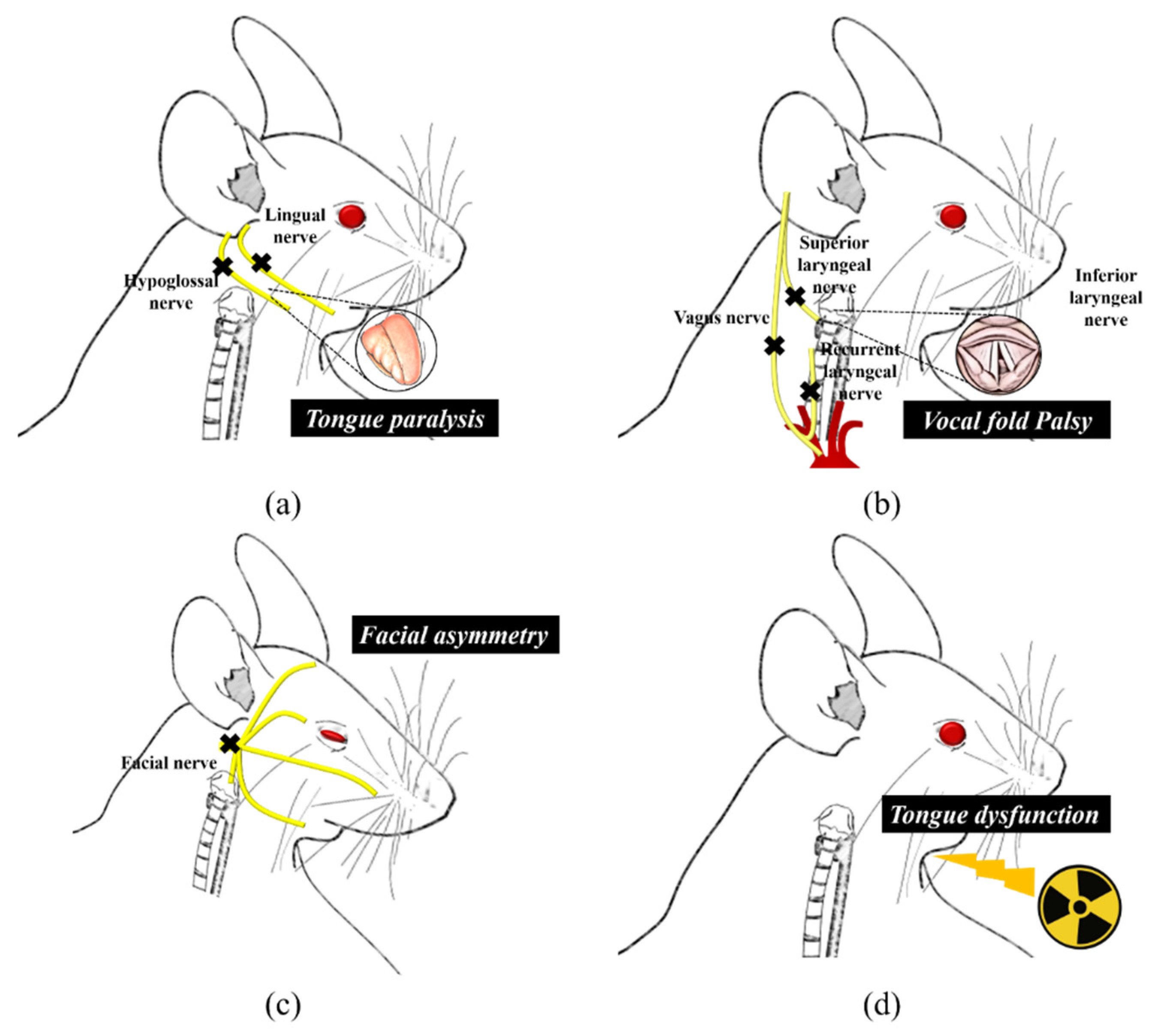 Biology 10 00360 g002 Biology 10 00360 g002