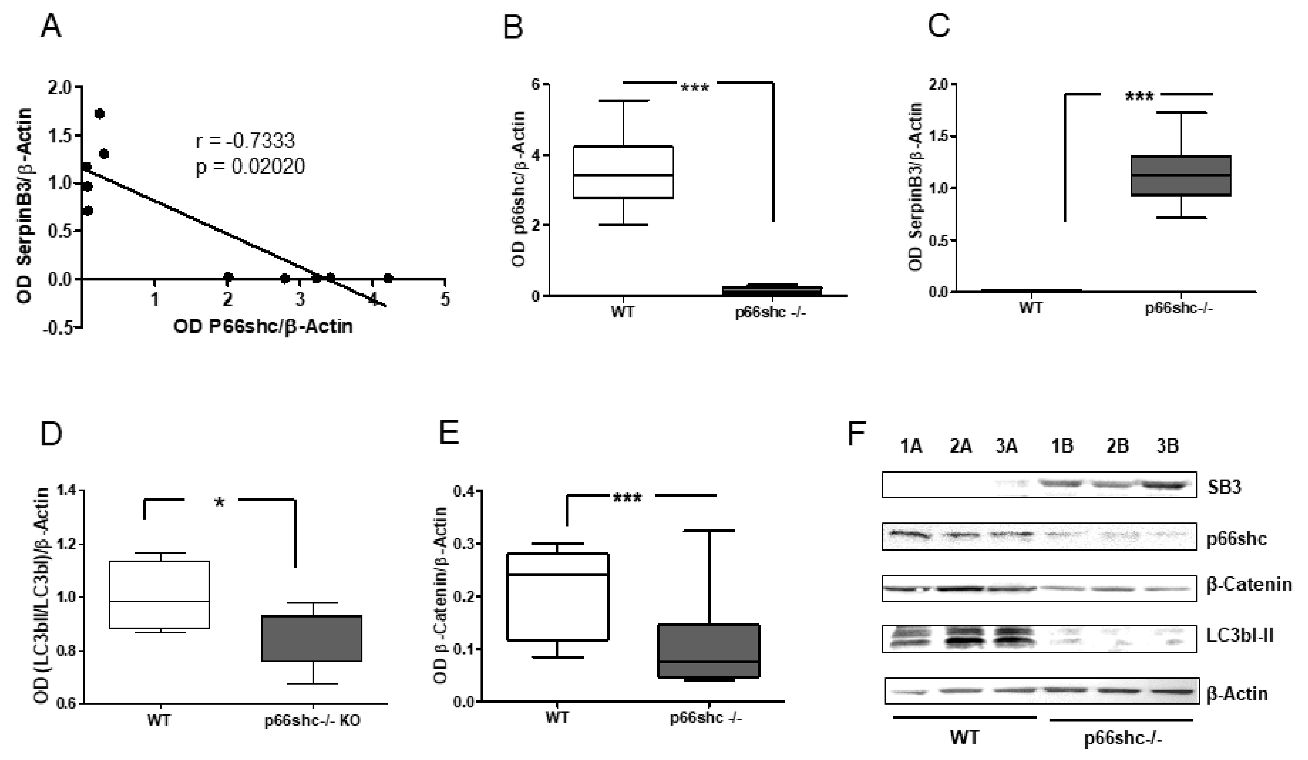 Biology 10 00363 g004