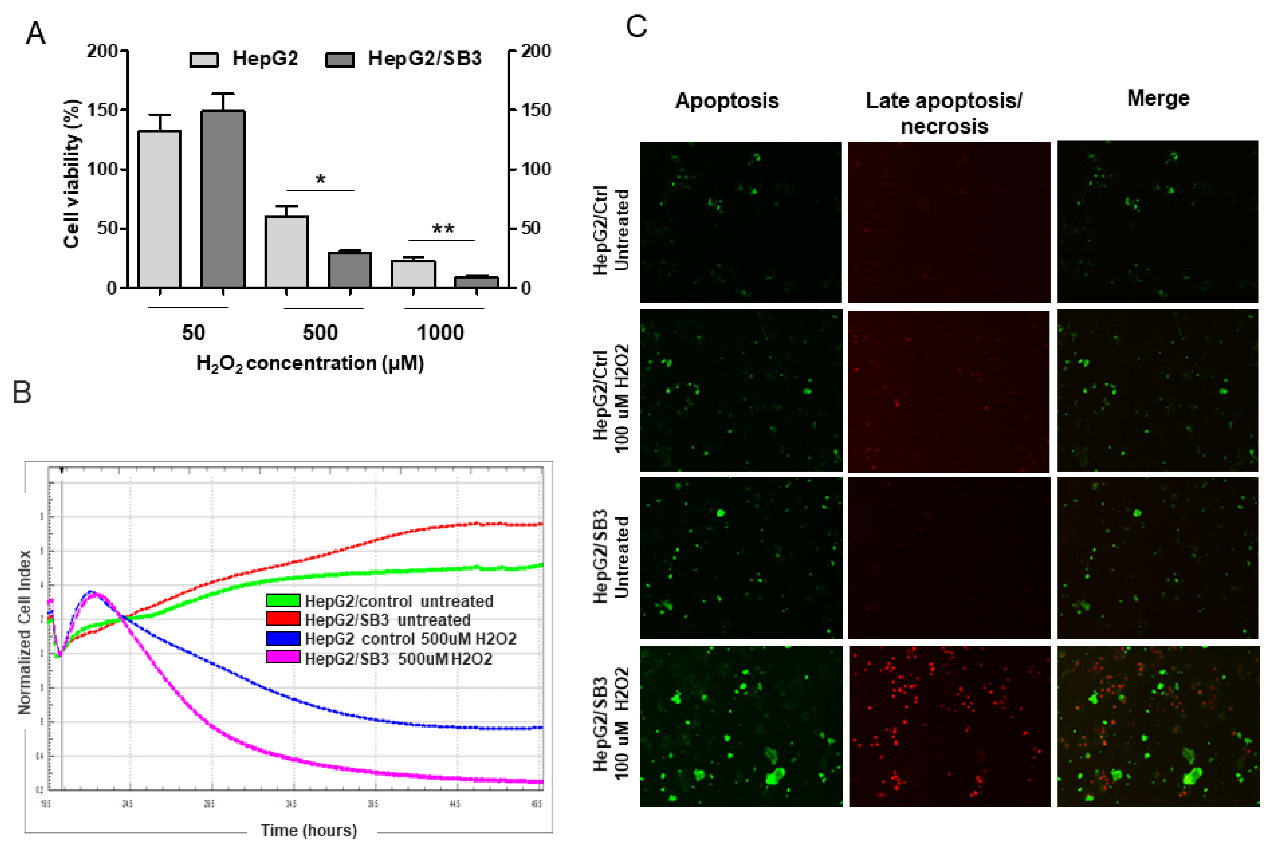 Biology 10 00363 g005