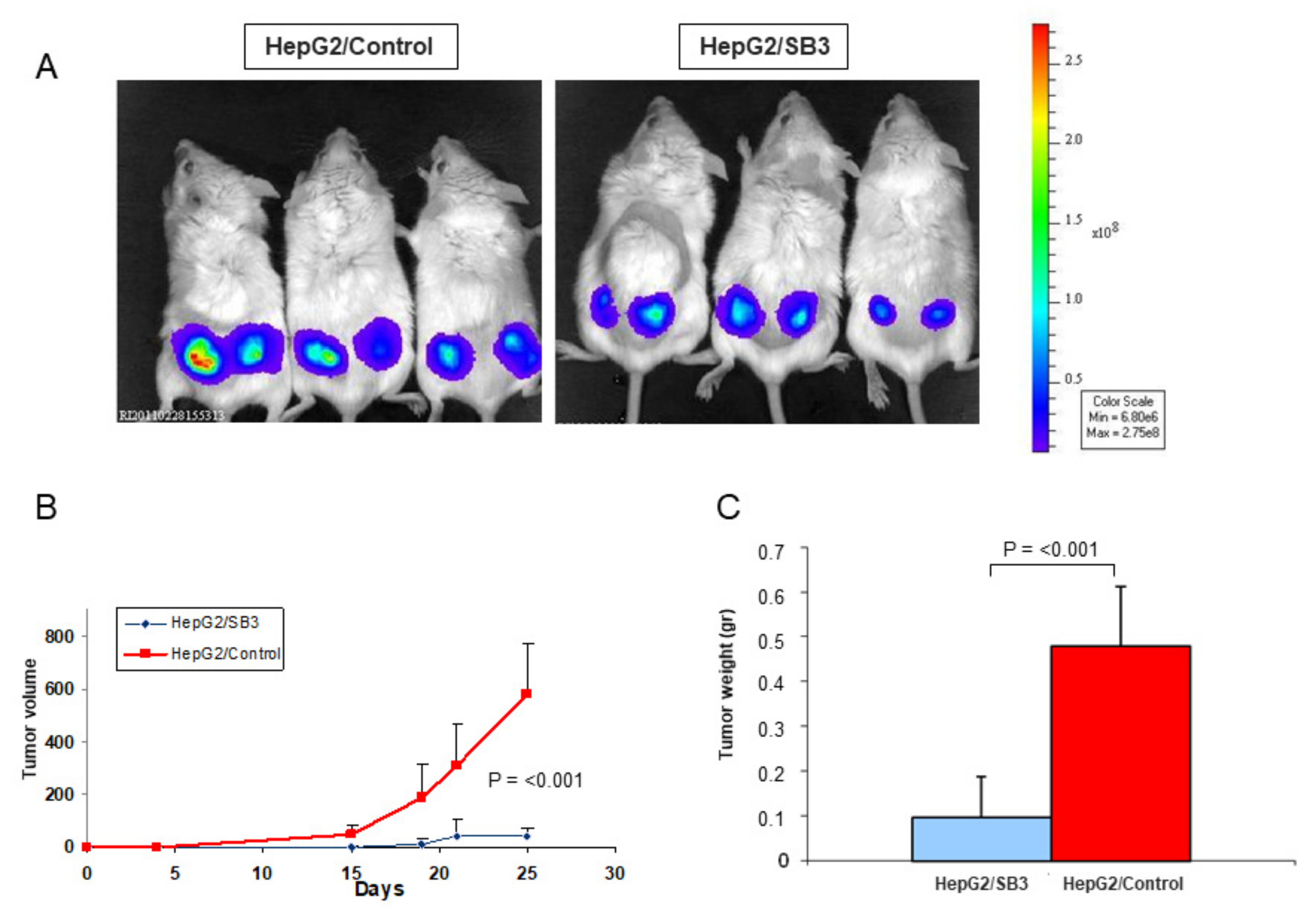 Biology 10 00363 g007