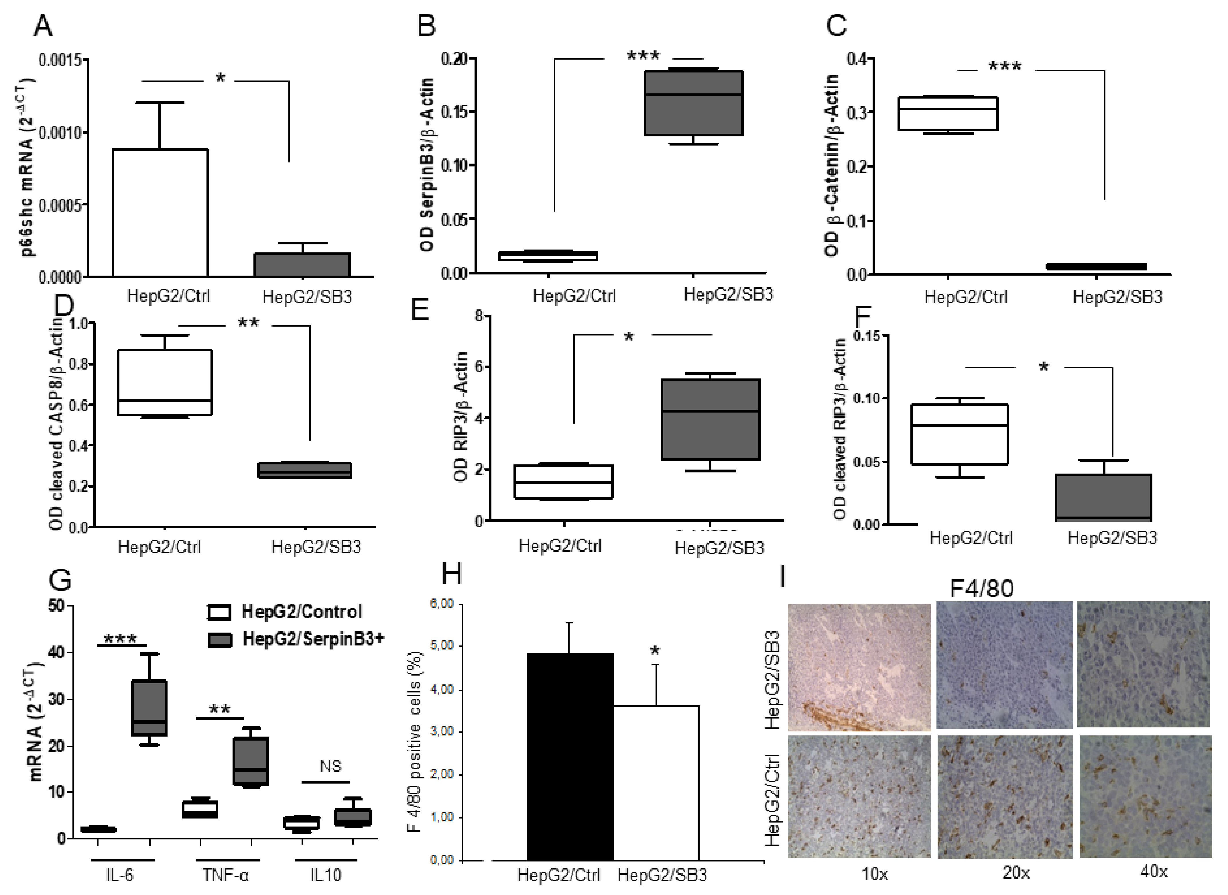 Biology 10 00363 g008