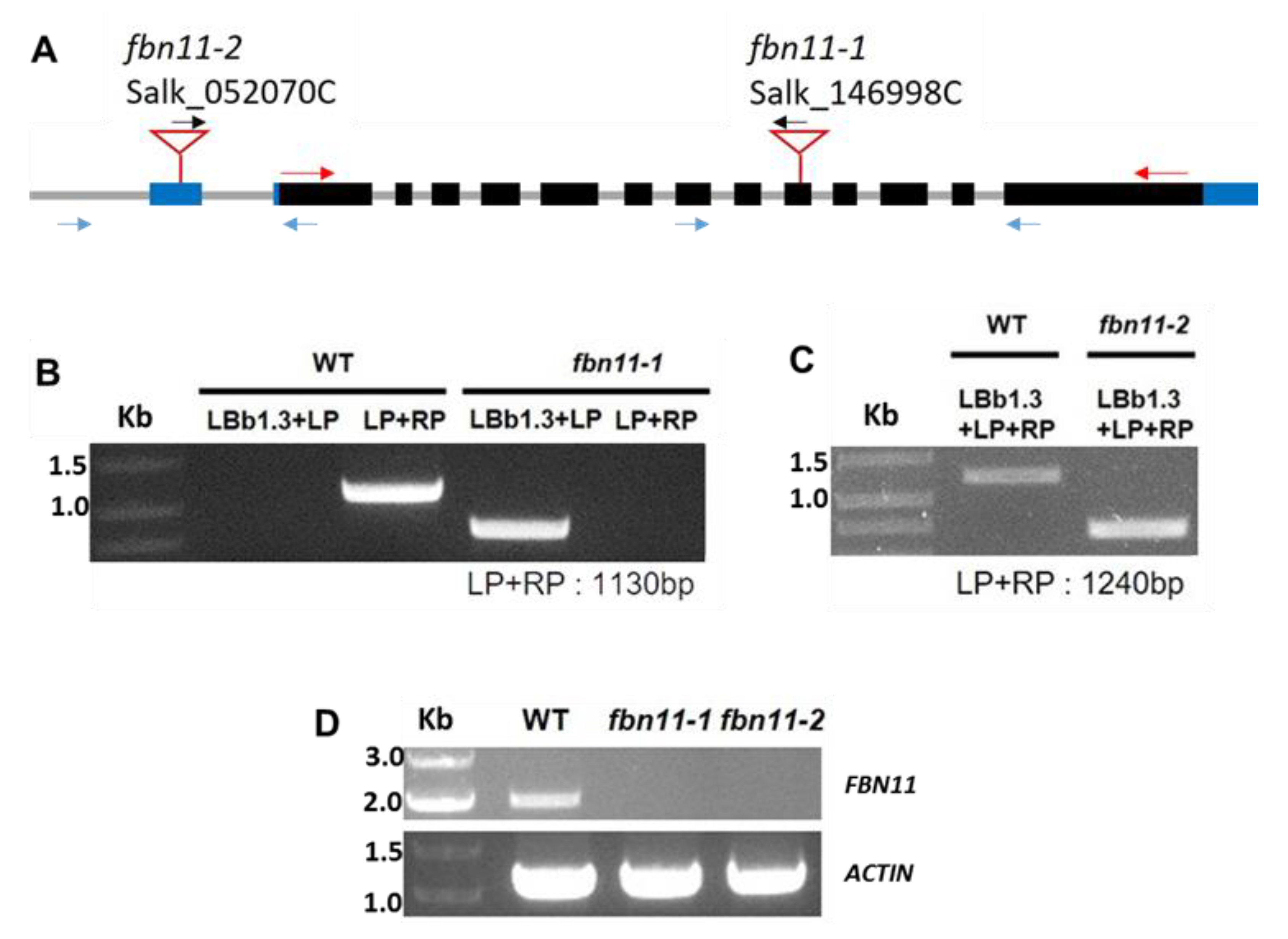 Biology 10 00368 g006 Biology 10 00368 g006