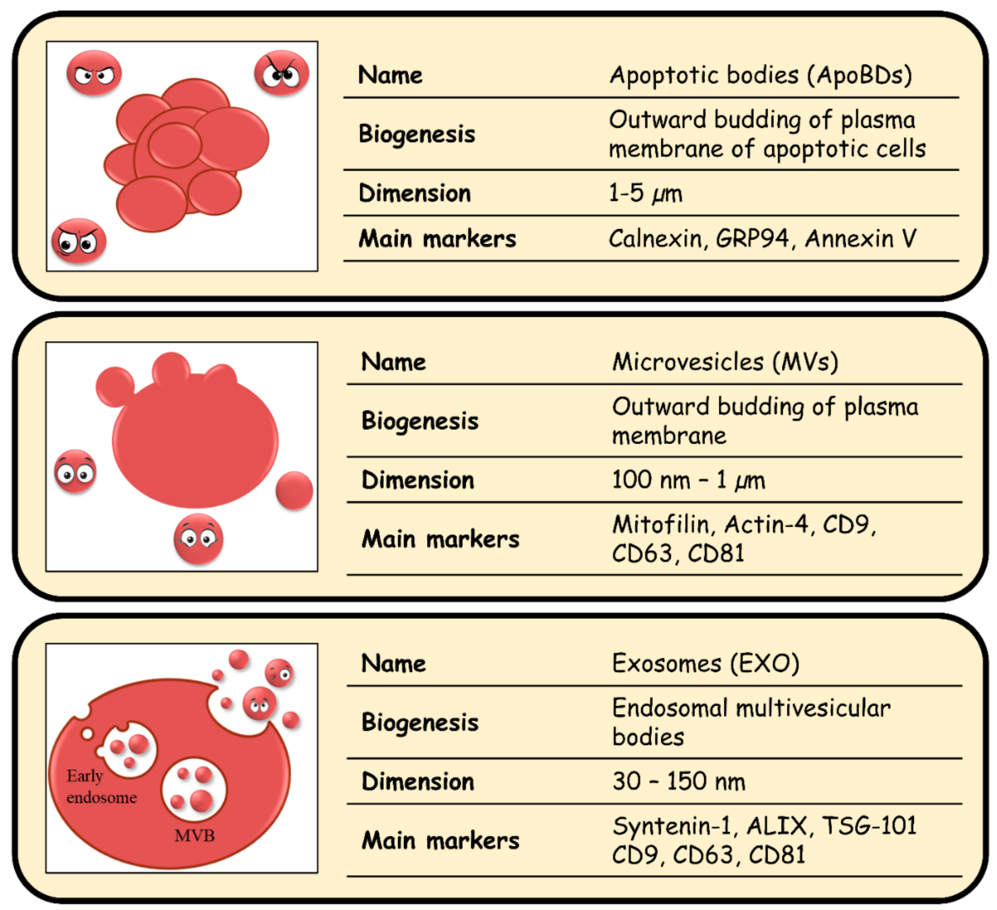 Biology 10 00376 g001