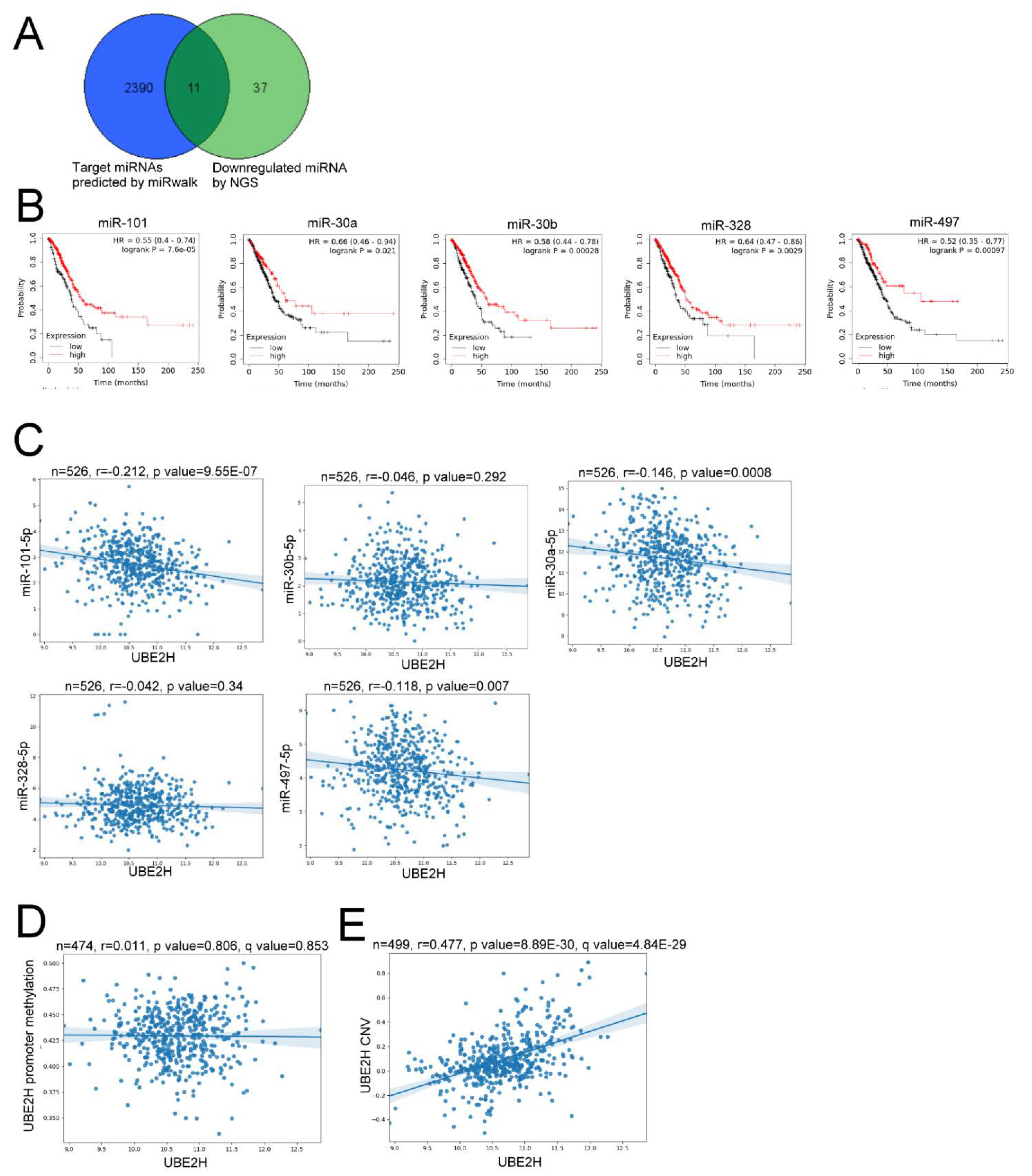 Biology 10 00378 g004