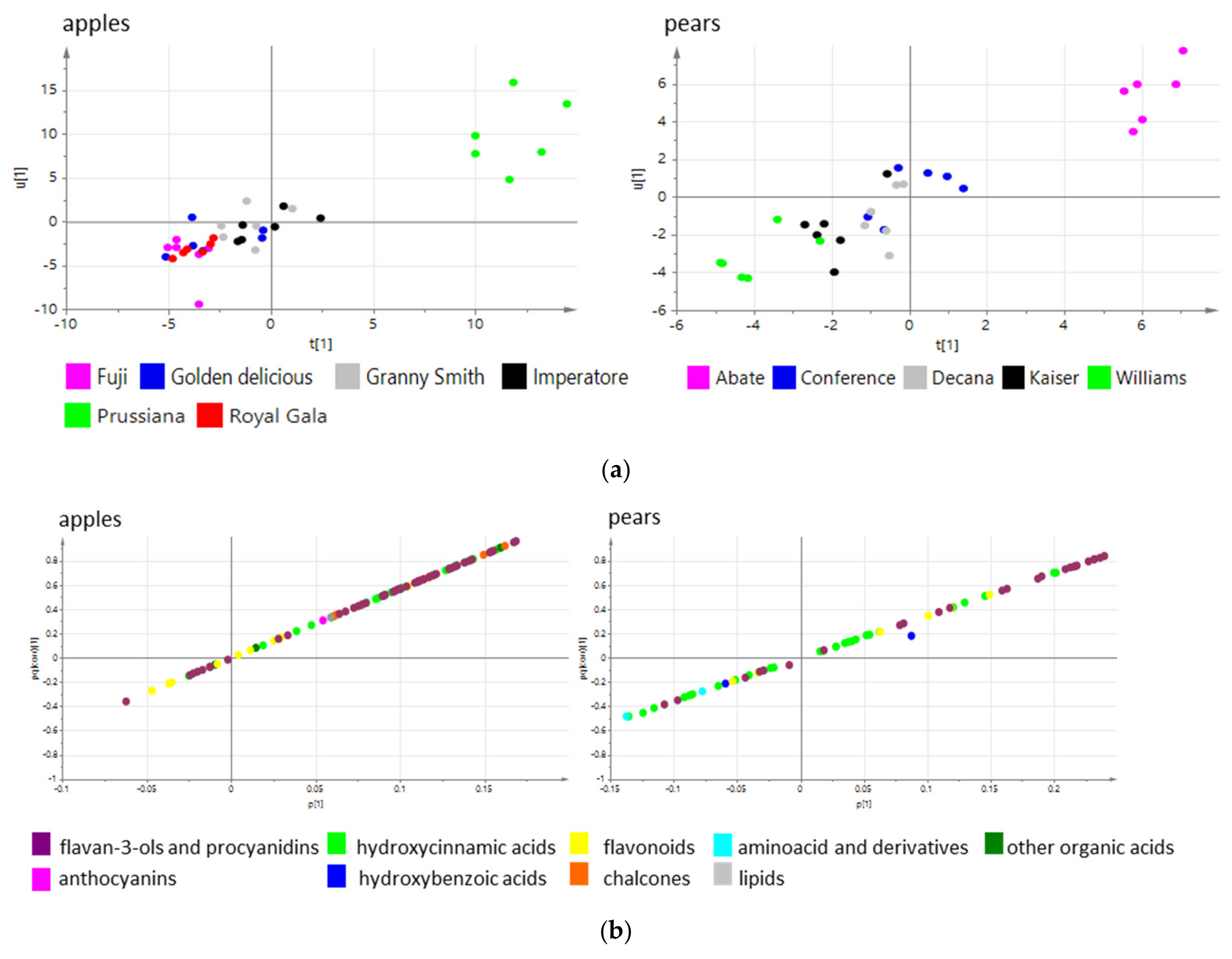 Biology 10 00380 g007