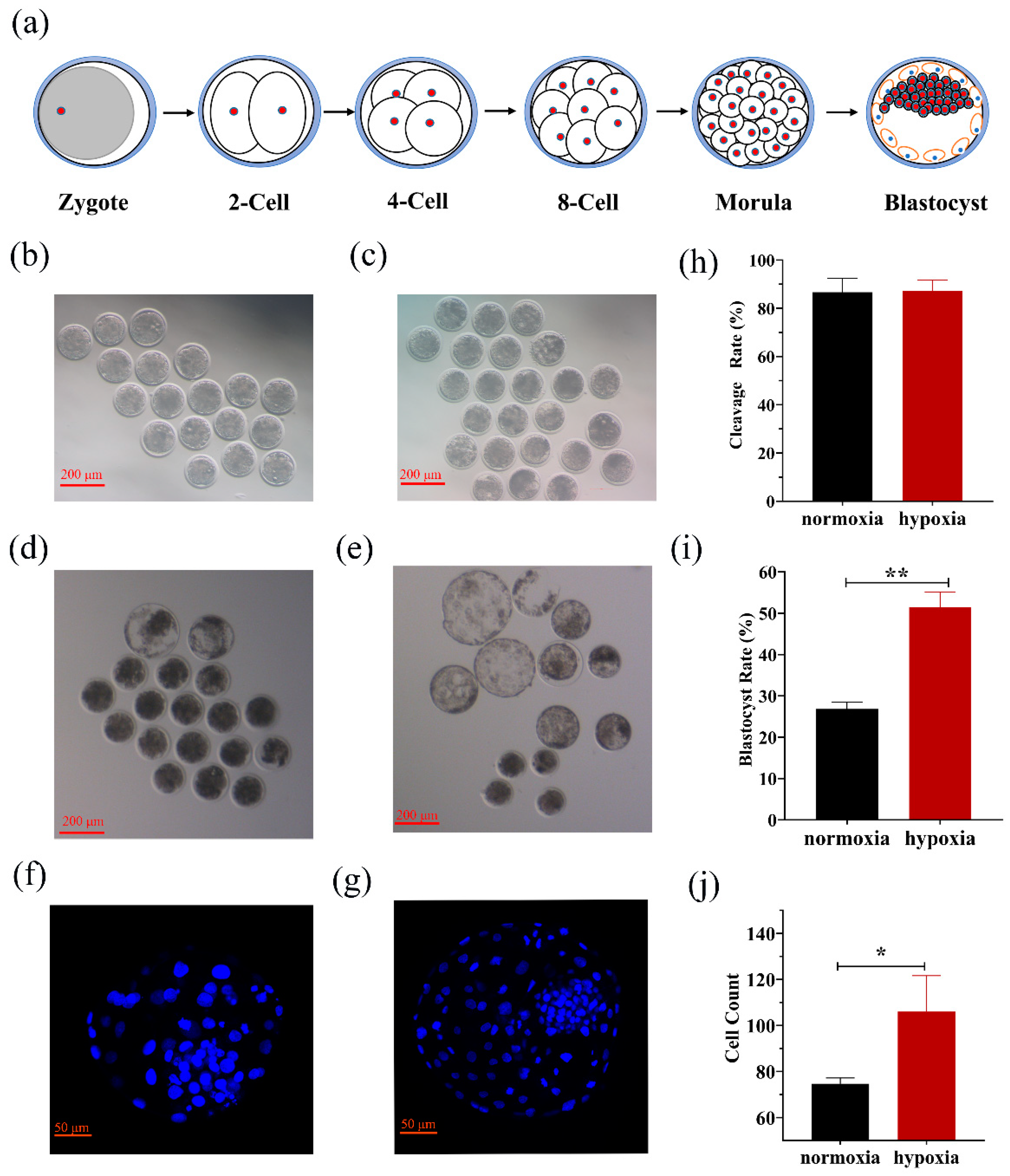Biology 10 00381 g001 Biology 10 00381 g001