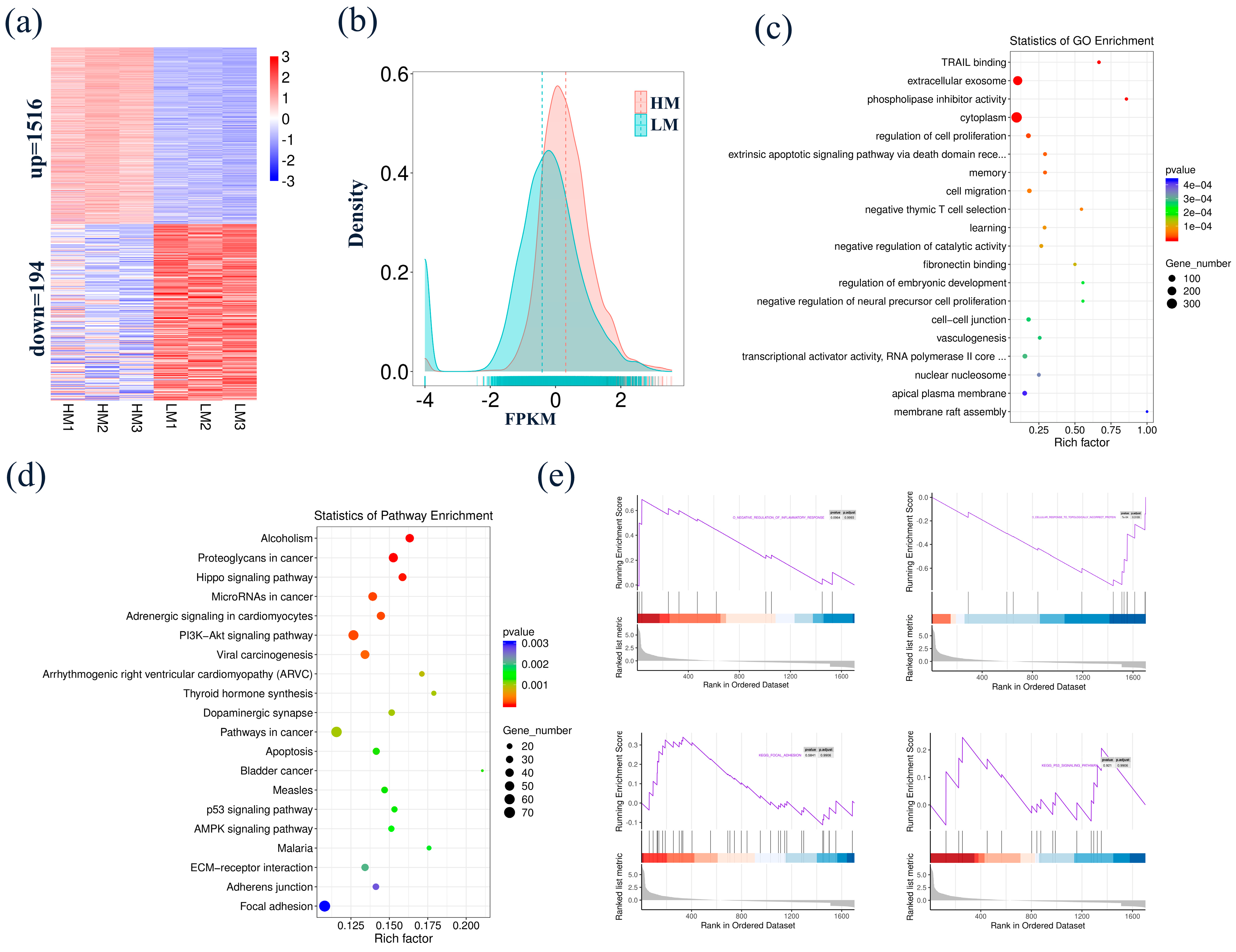 Biology 10 00381 g004 Biology 10 00381 g004