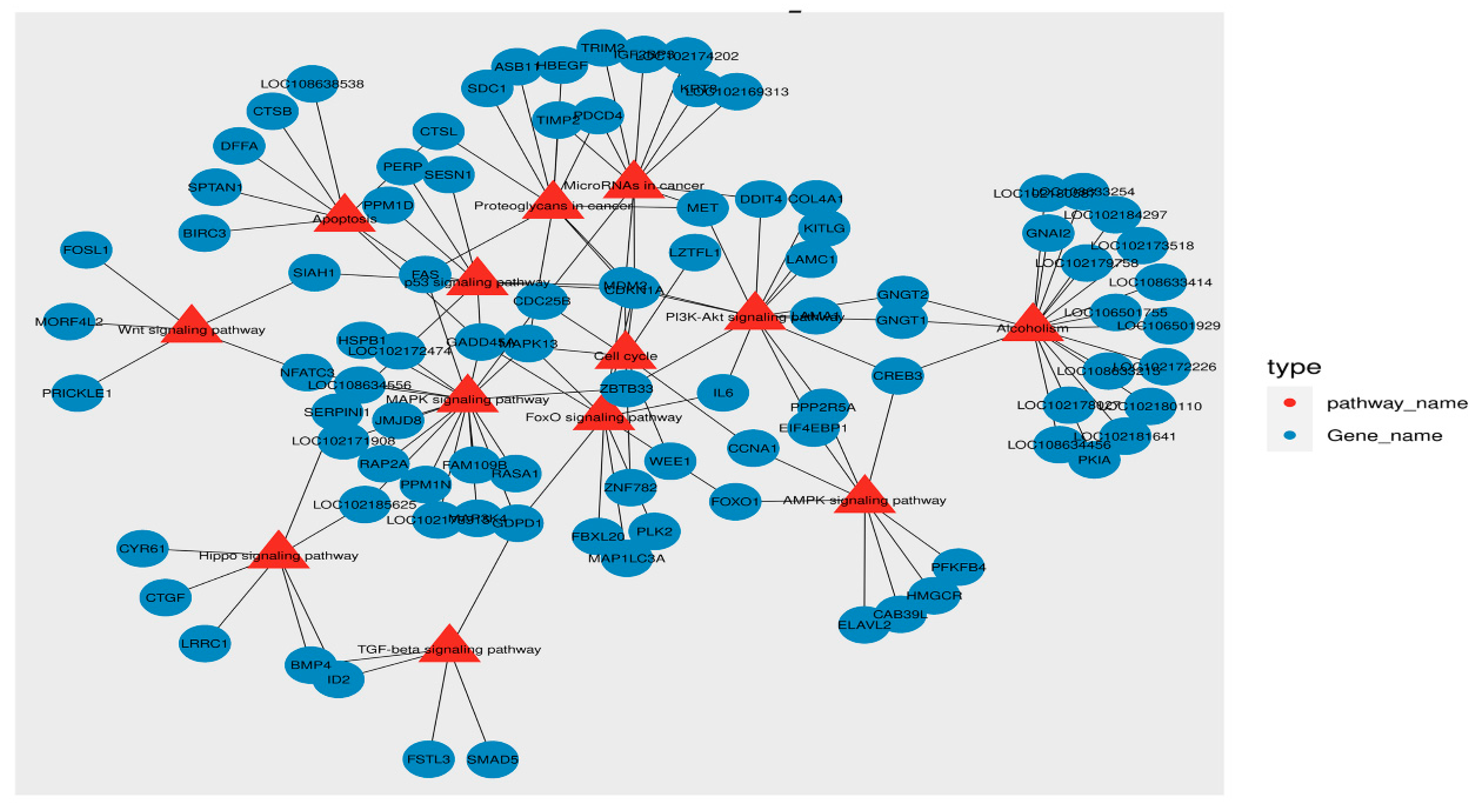 Biology 10 00381 g006 Biology 10 00381 g006