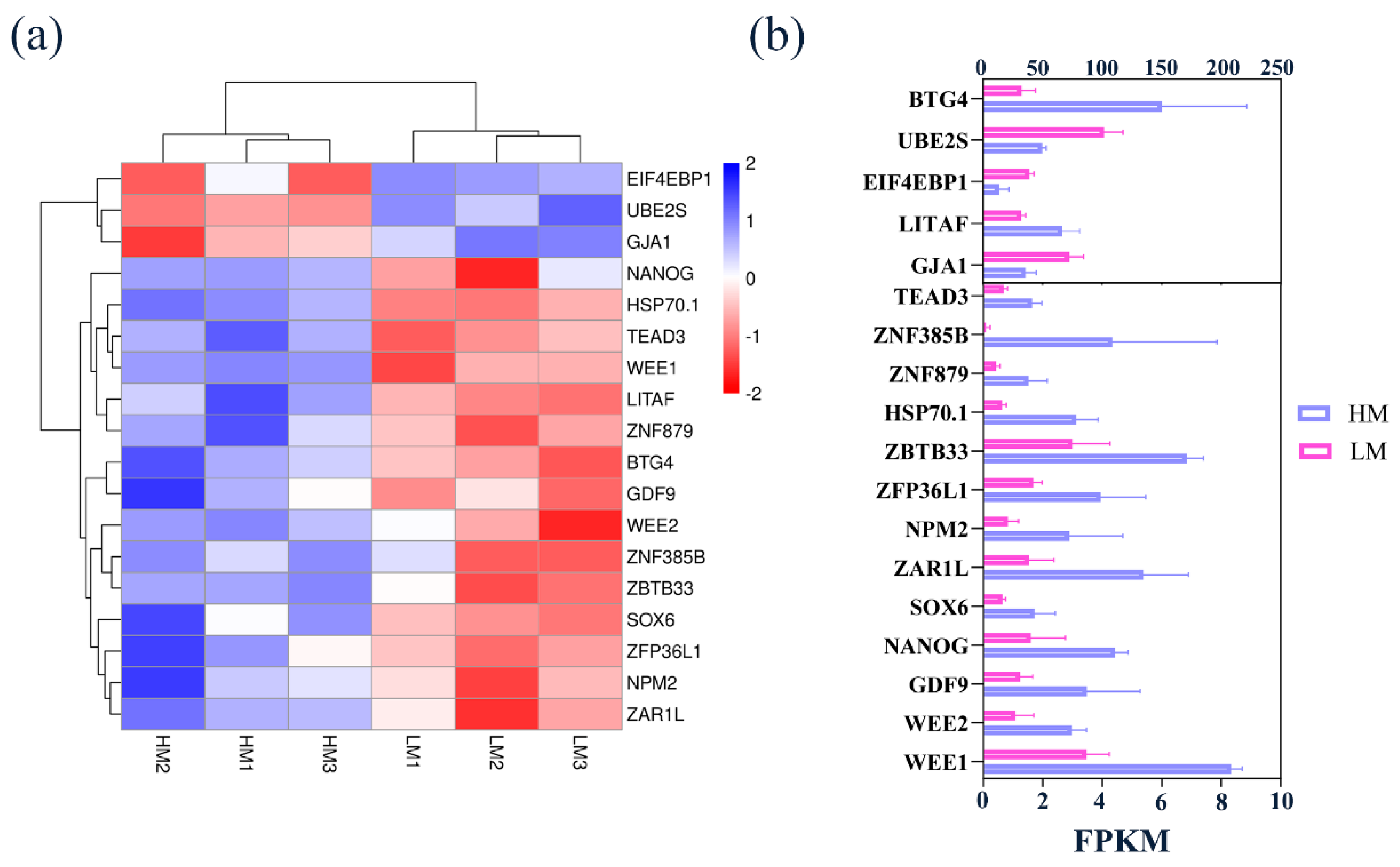 Biology 10 00381 g007 Biology 10 00381 g007