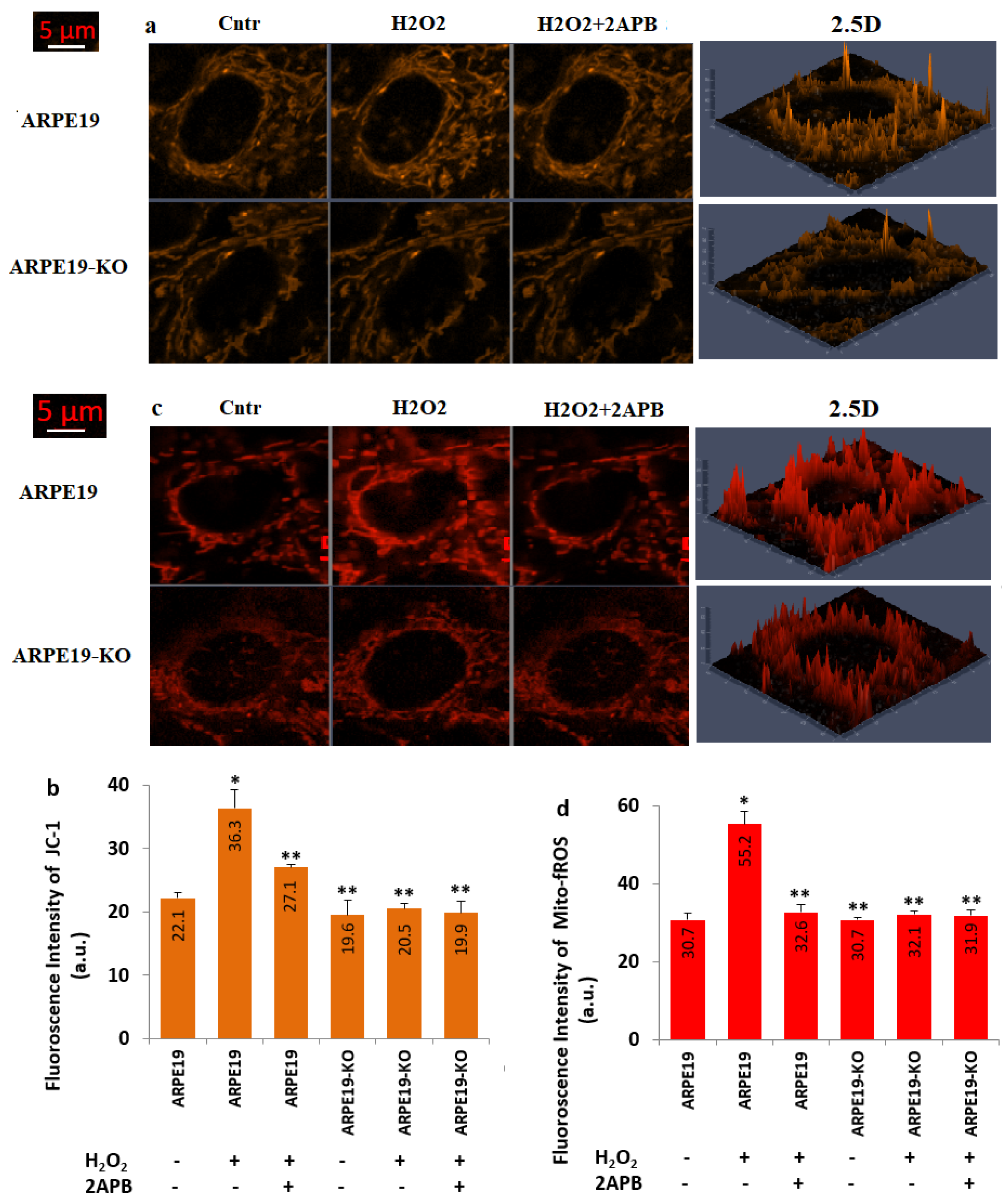 Biology 10 00382 g007