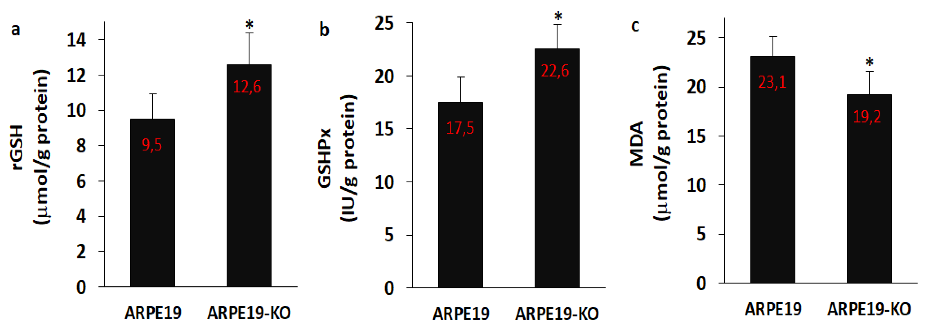 Biology 10 00382 g008