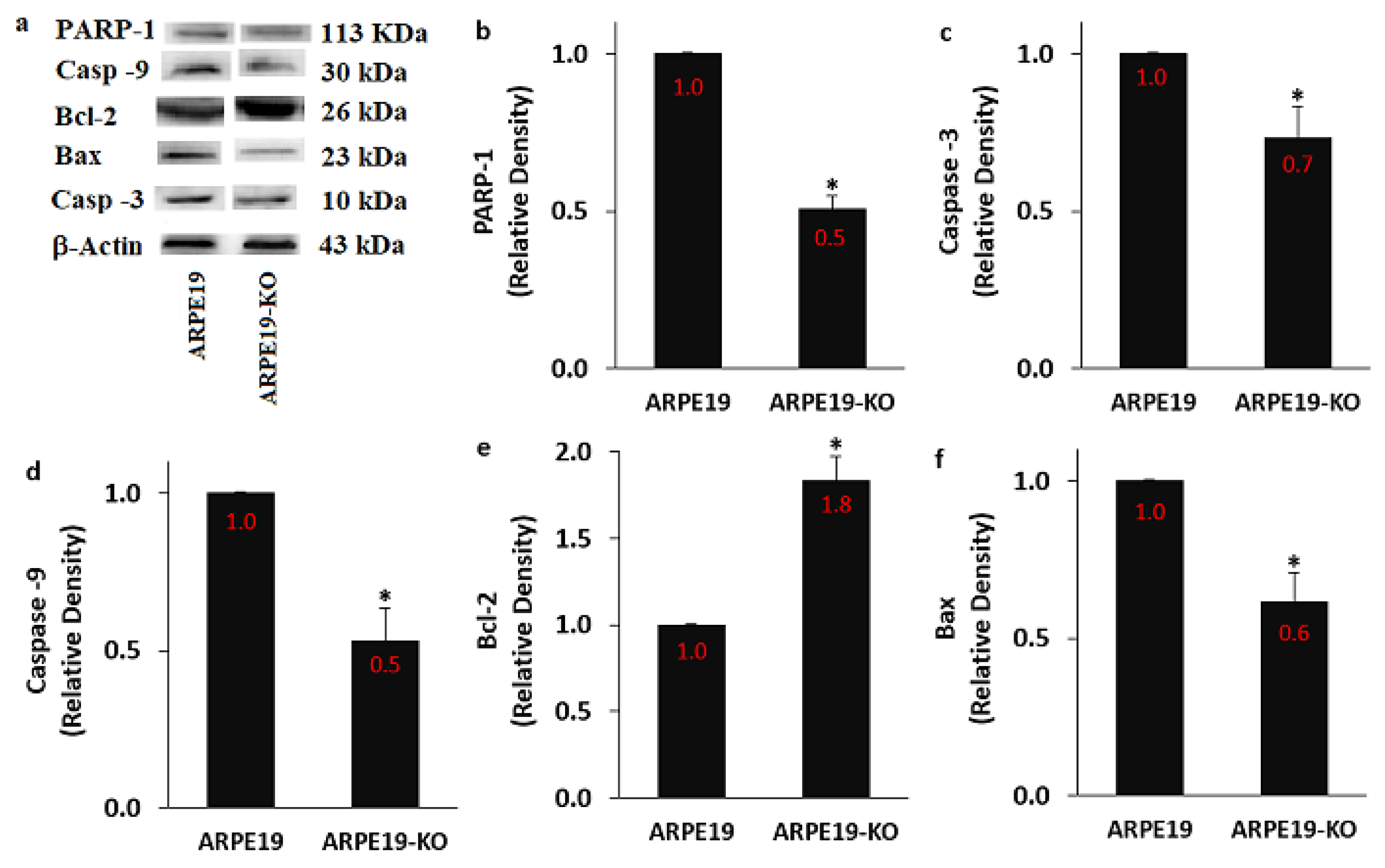 Biology 10 00382 g009