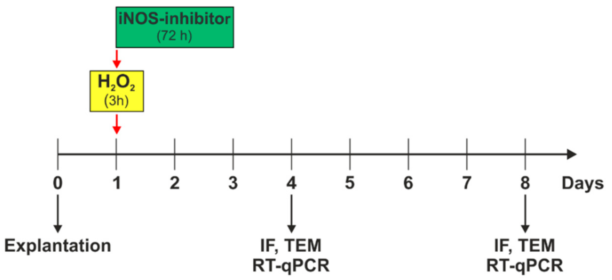 Biology 10 00383 g001 Biology 10 00383 g001