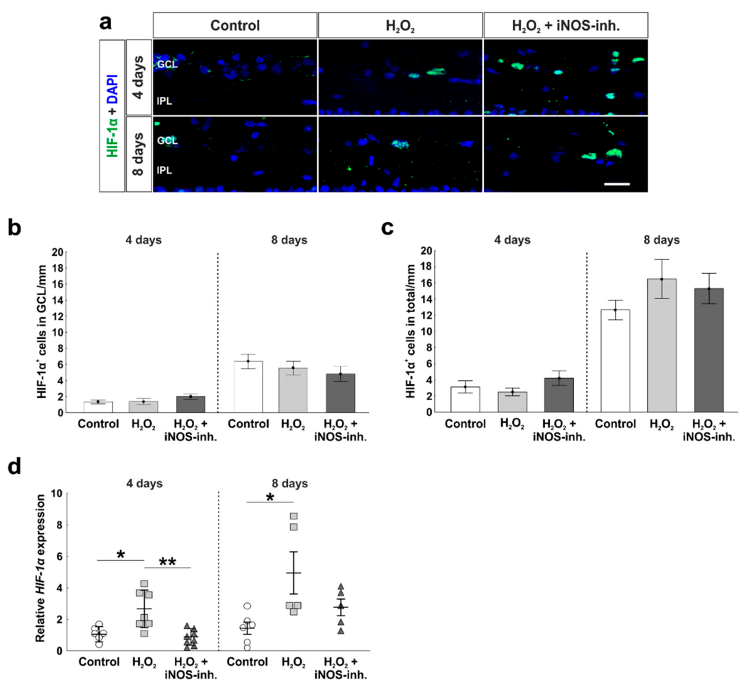 Biology 10 00383 g002 Biology 10 00383 g002