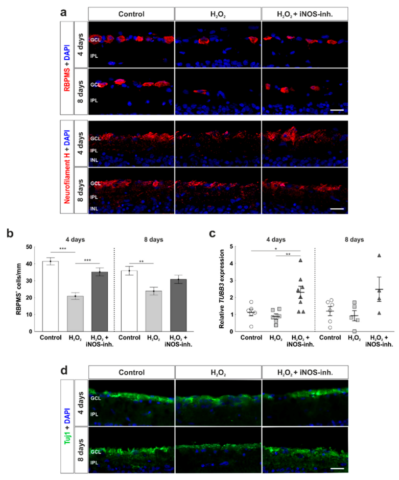 Biology 10 00383 g003a Biology 10 00383 g003a