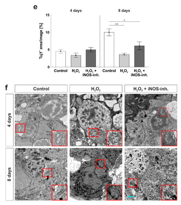 Biology 10 00383 g003b Biology 10 00383 g003b