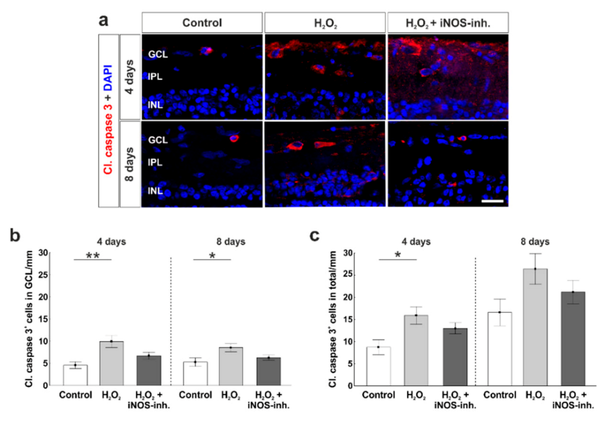 Biology 10 00383 g004a Biology 10 00383 g004a