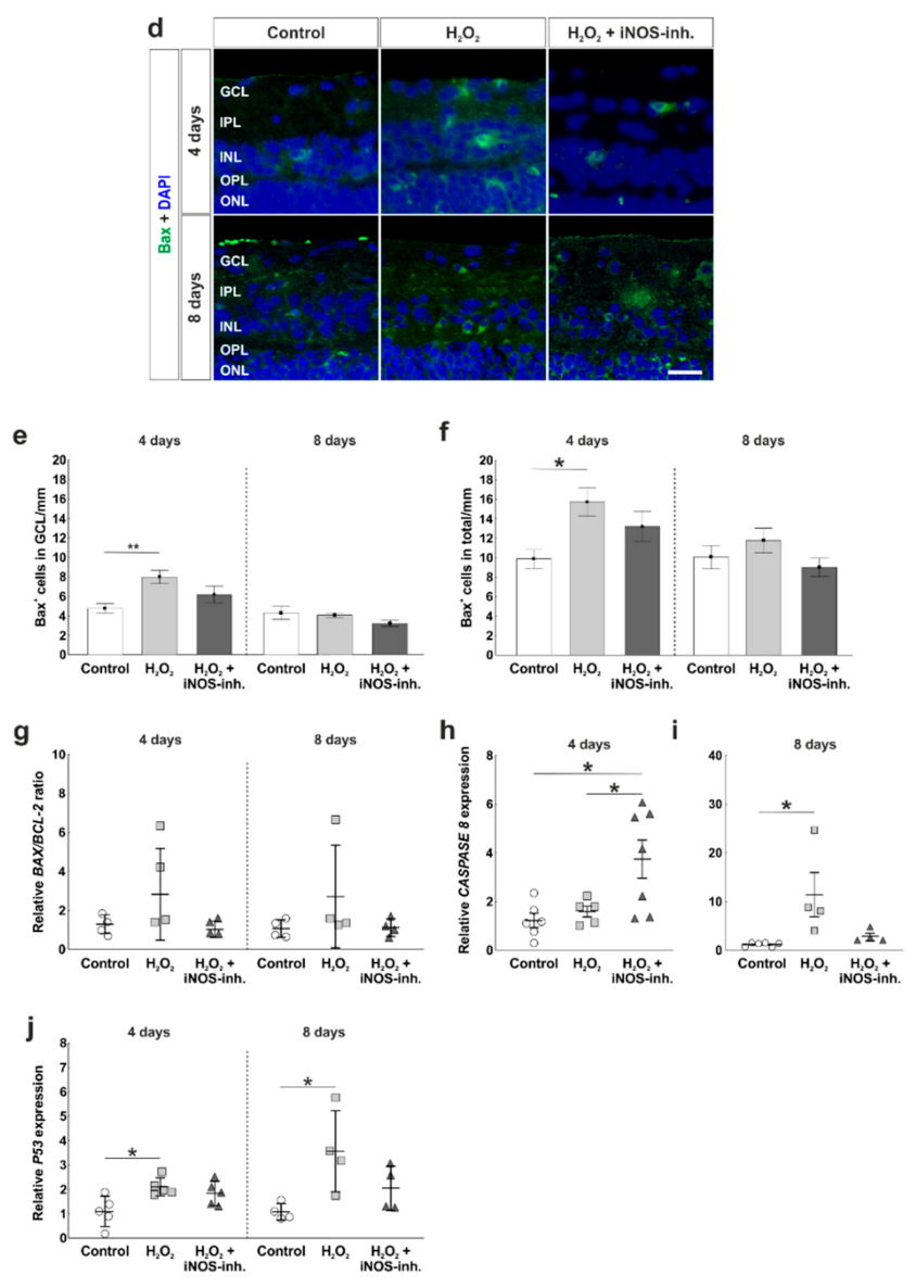 Biology 10 00383 g004b Biology 10 00383 g004b