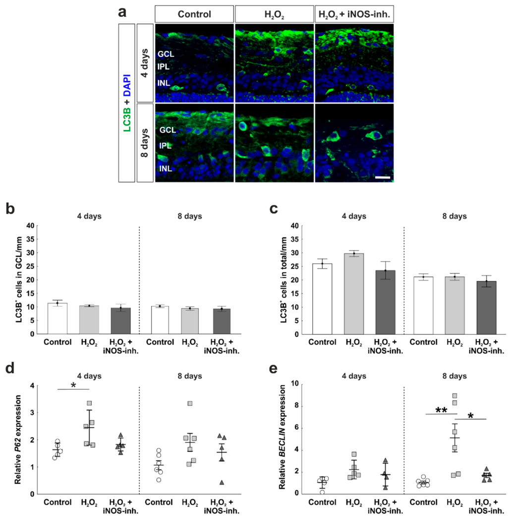Biology 10 00383 g005 Biology 10 00383 g005