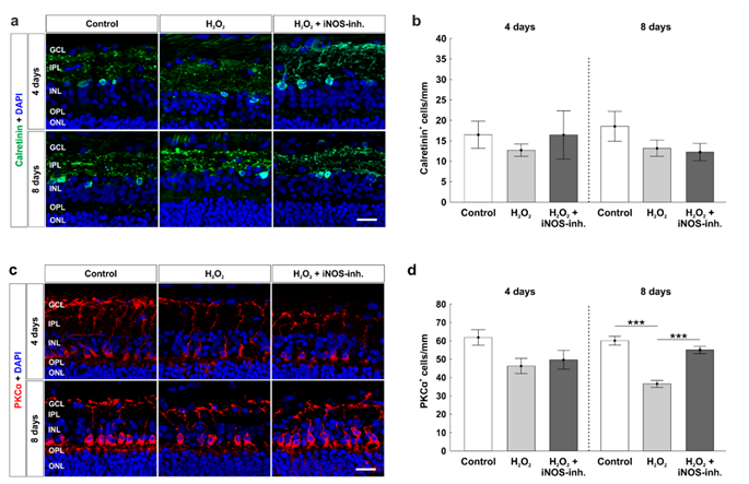 Biology 10 00383 g006 Biology 10 00383 g006