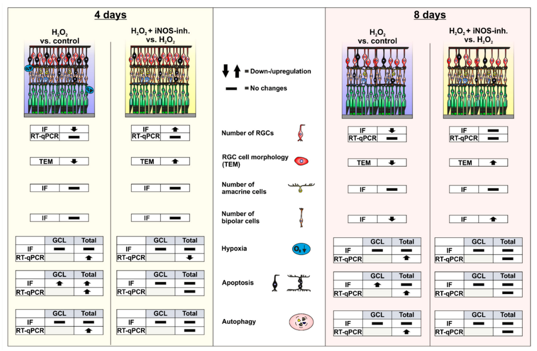 Biology 10 00383 g007 Biology 10 00383 g007