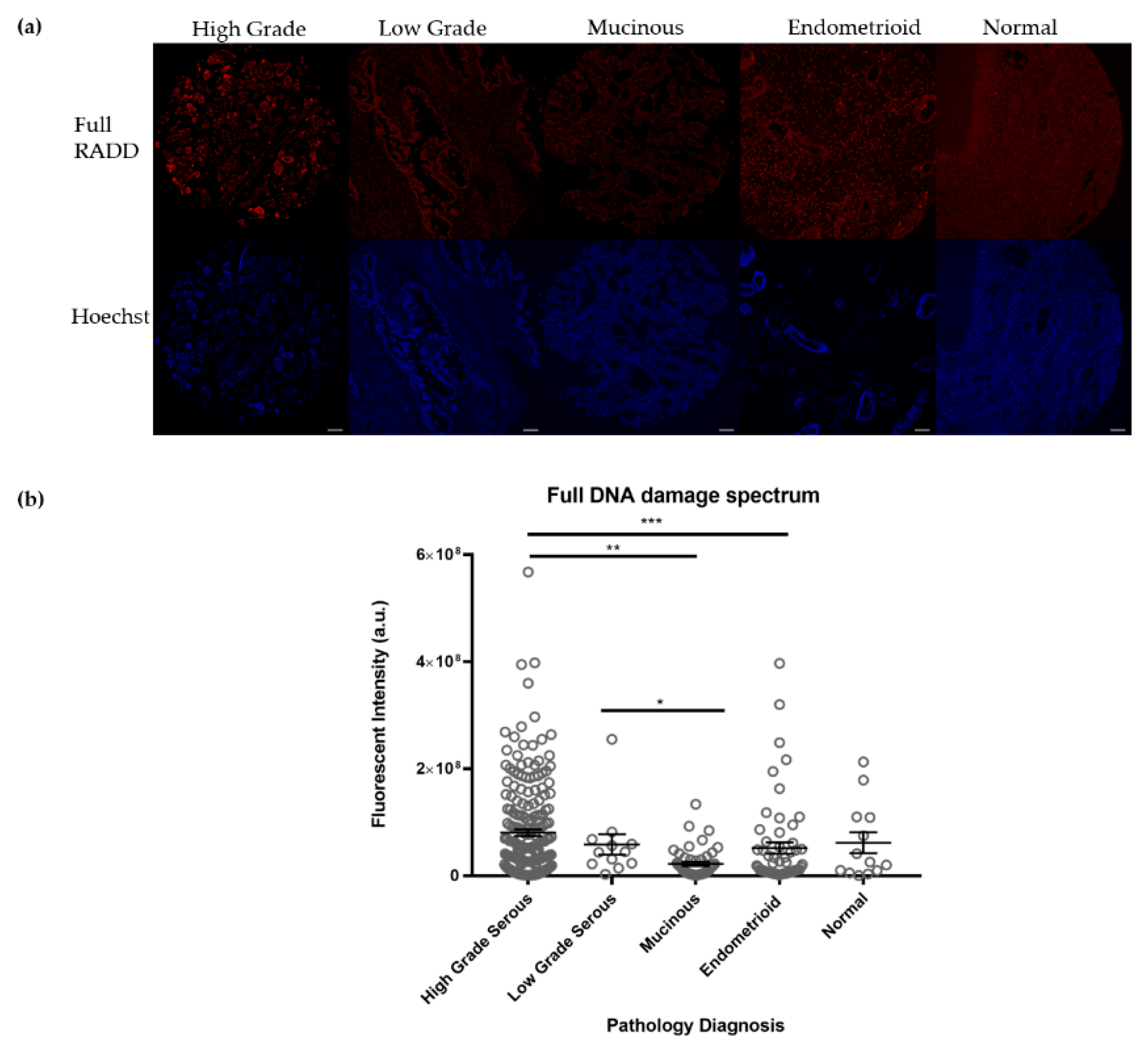 Biology 10 00385 g001 Biology 10 00385 g001