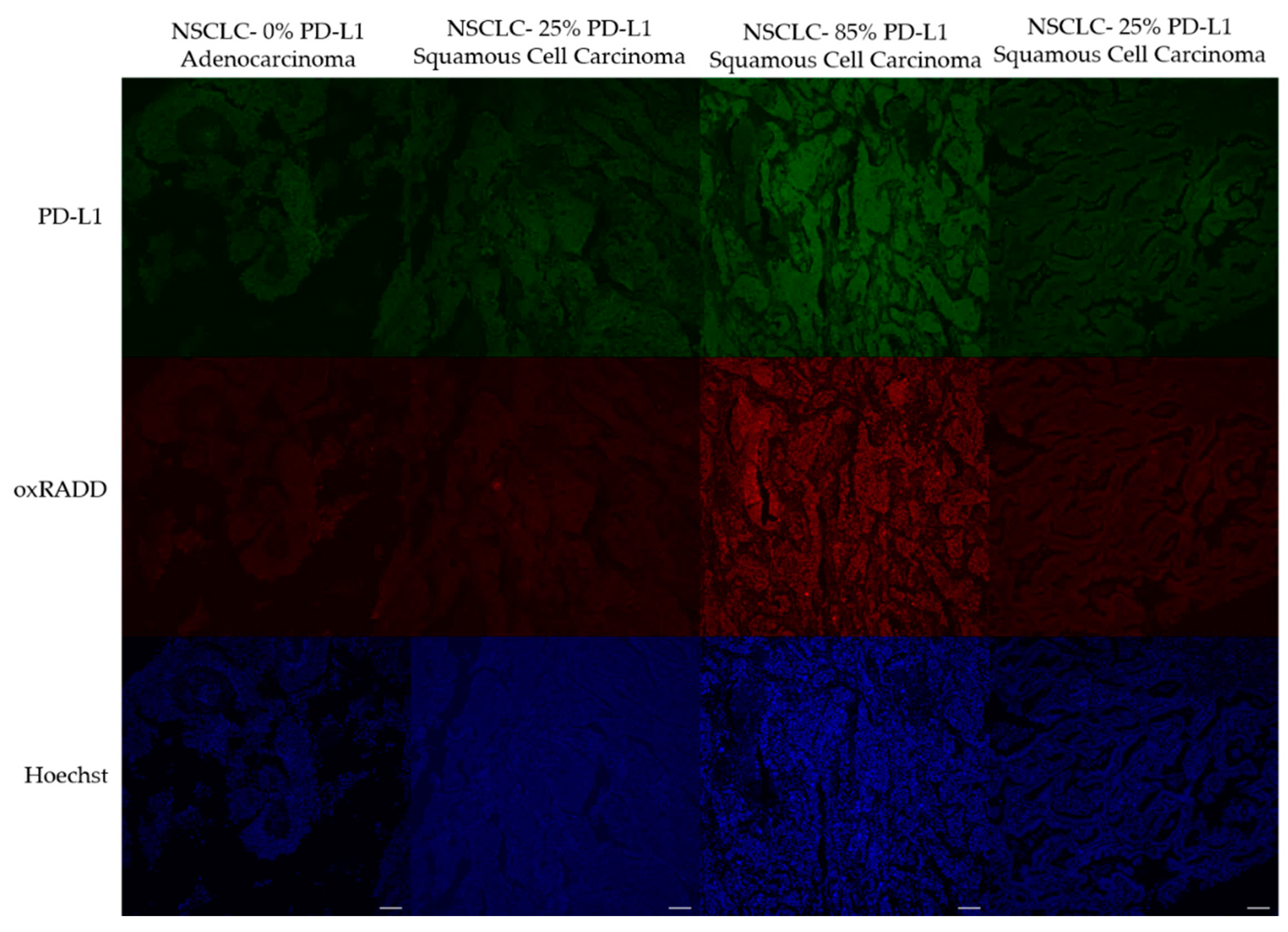 Biology 10 00385 g004 Biology 10 00385 g004