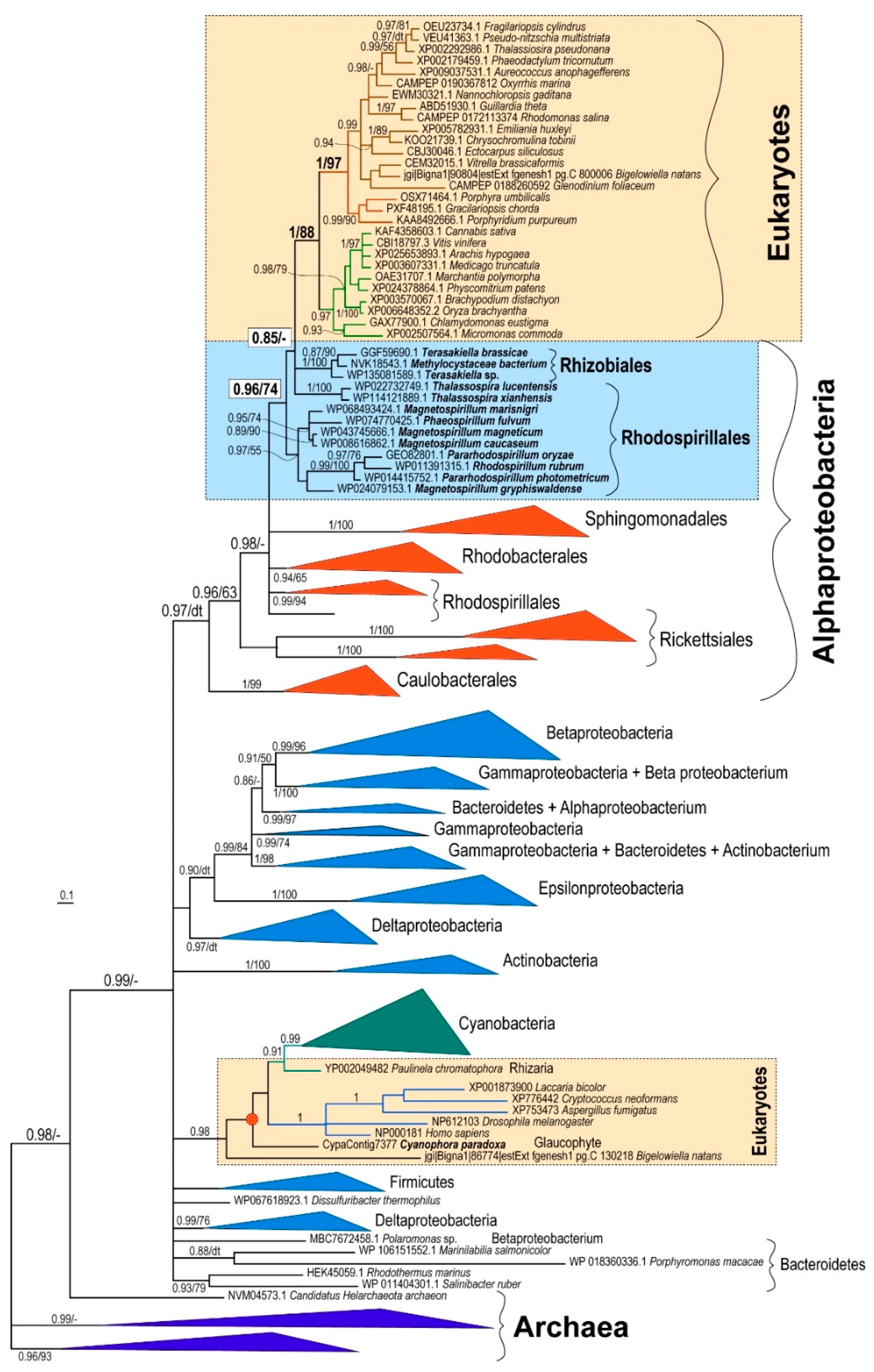 Biology 10 00386 g001