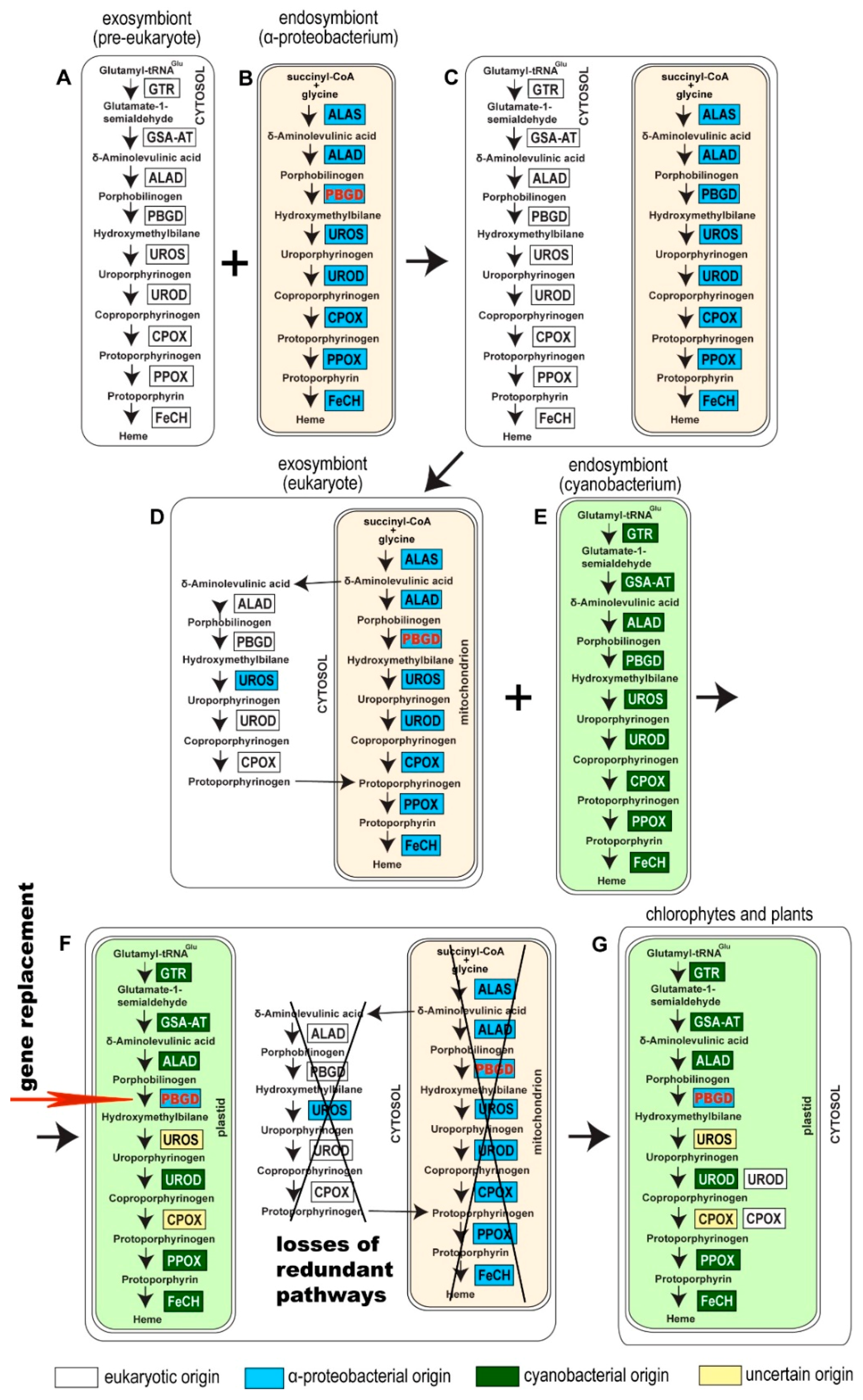 Biology 10 00386 g002