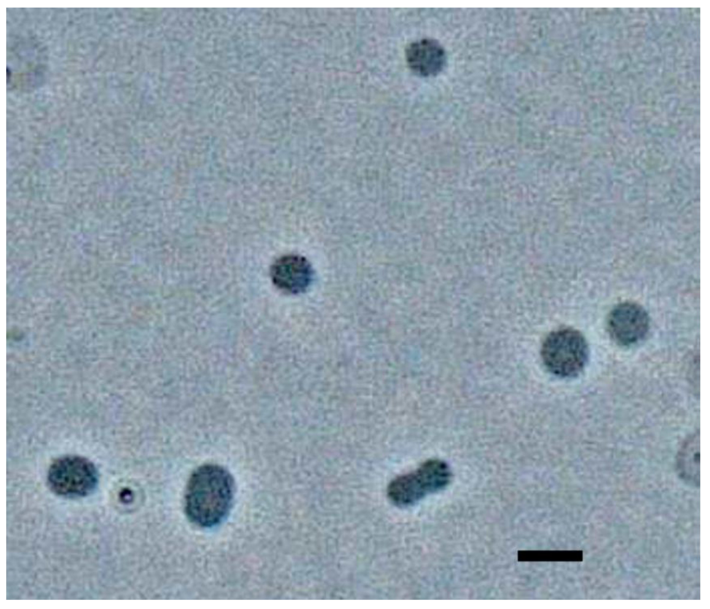 Biology 10 00387 g001 Biology 10 00387 g001