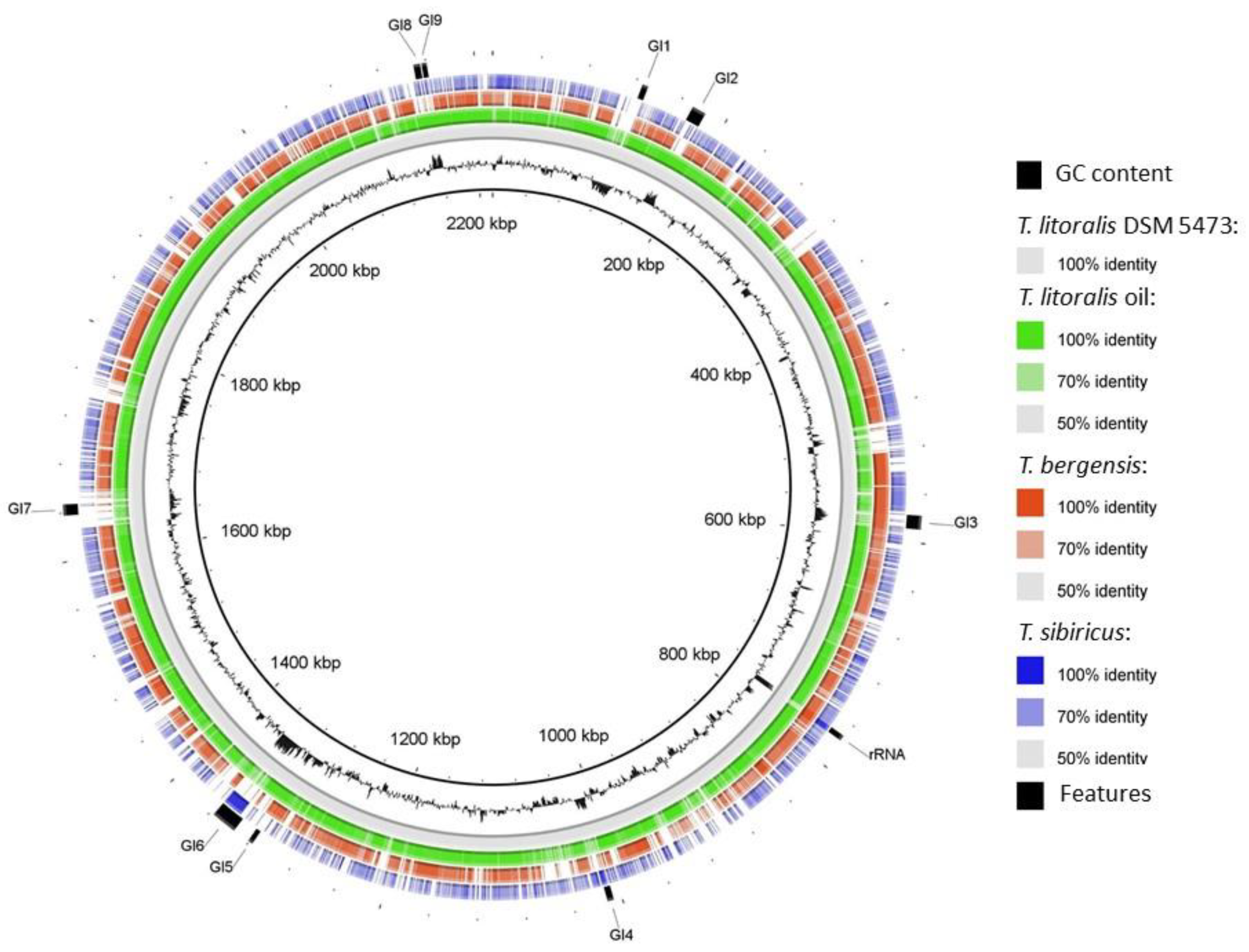 Biology 10 00387 g003 Biology 10 00387 g003